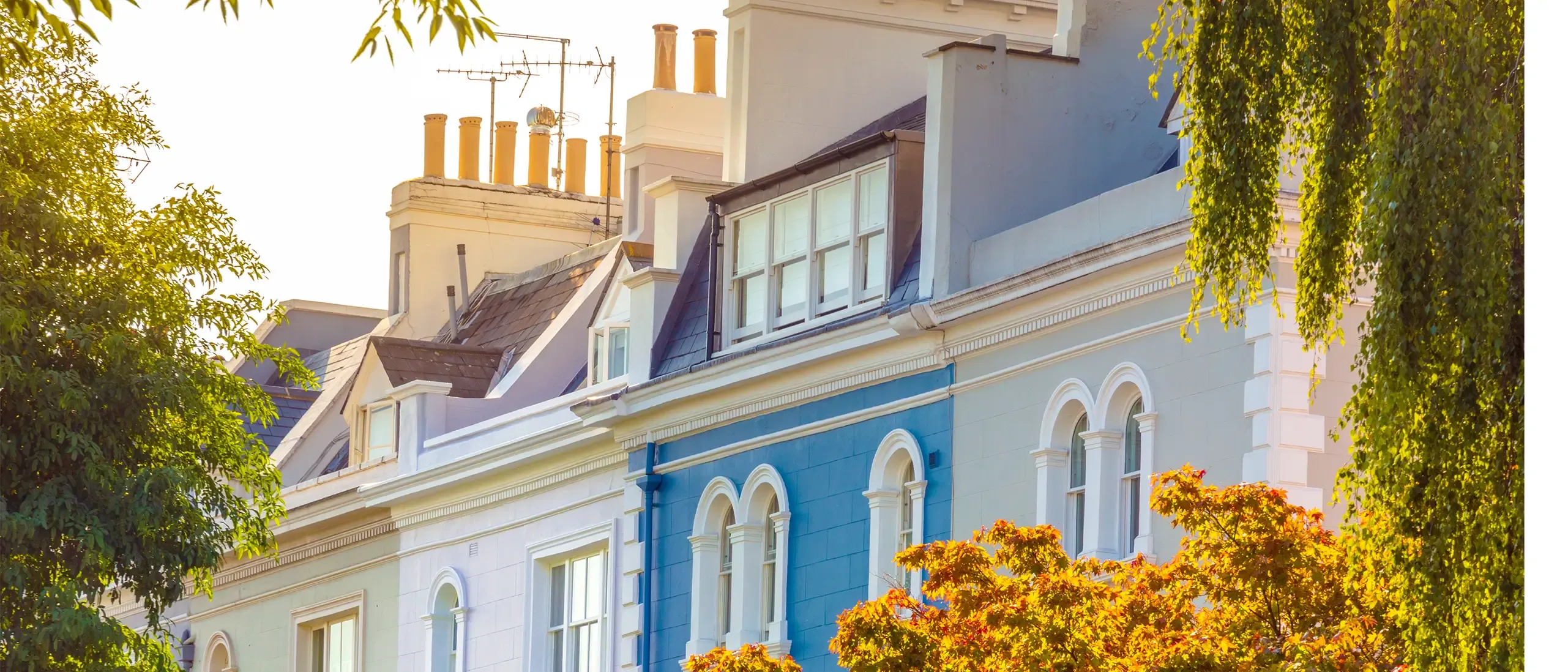 The facades of a luxurious traditional Regency style townhouses painted in bright colours and seen through Autumn trees in Notting Hill, London. 