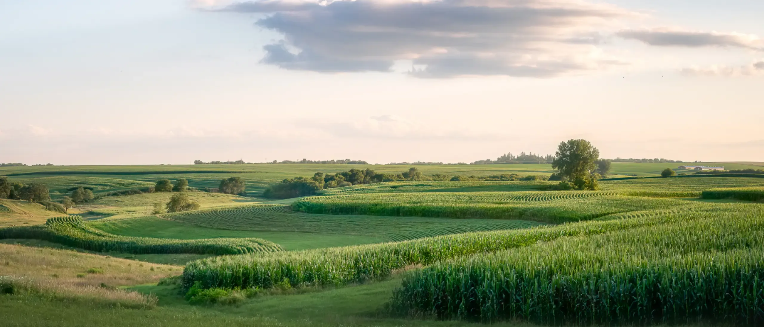 Scenic view of agricultural field against sky,Minnesota,United States,USA