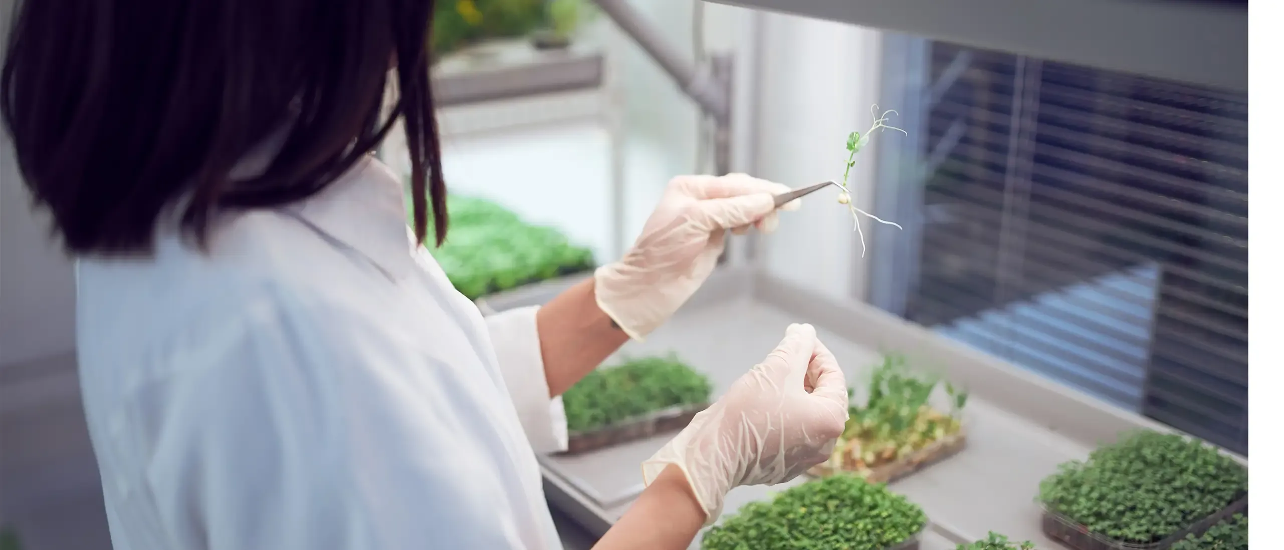 Woman checking plant in lab