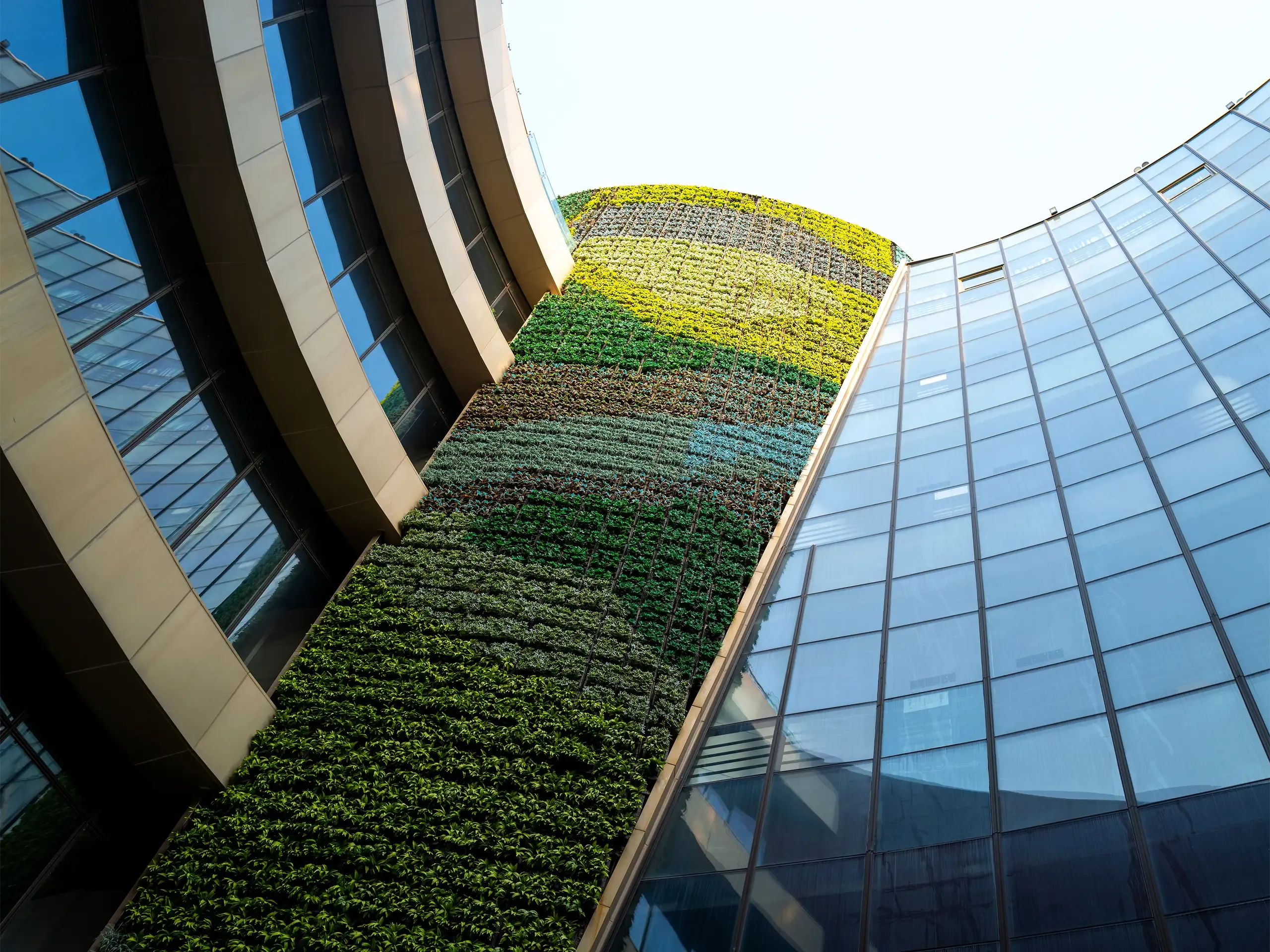 Part of the exterior wall of the municipal building in Quanzhou, China, planted with plants, environmentally friendly buildings.