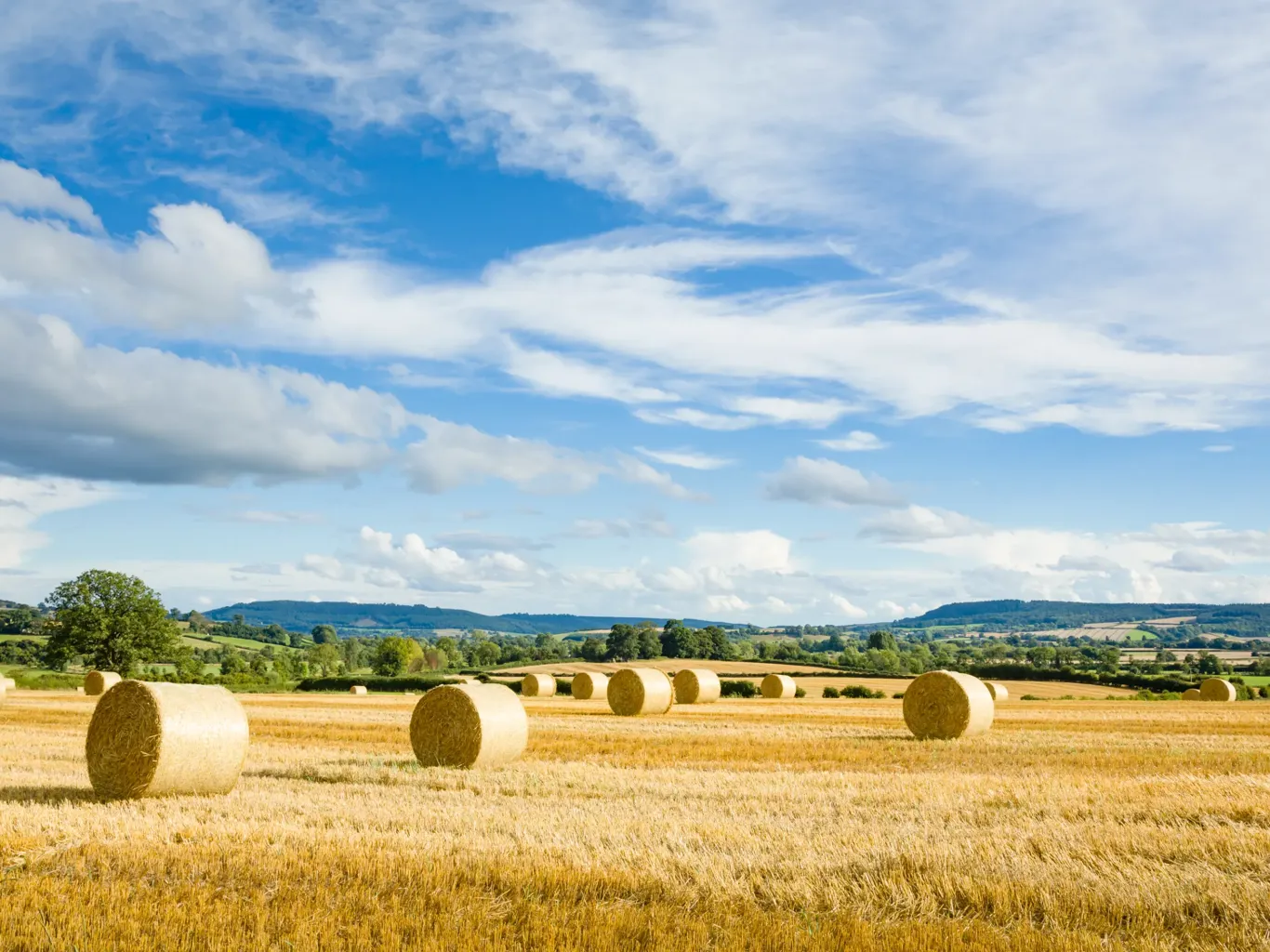Image of The Rural Update: The food chain must help build climate resilience
