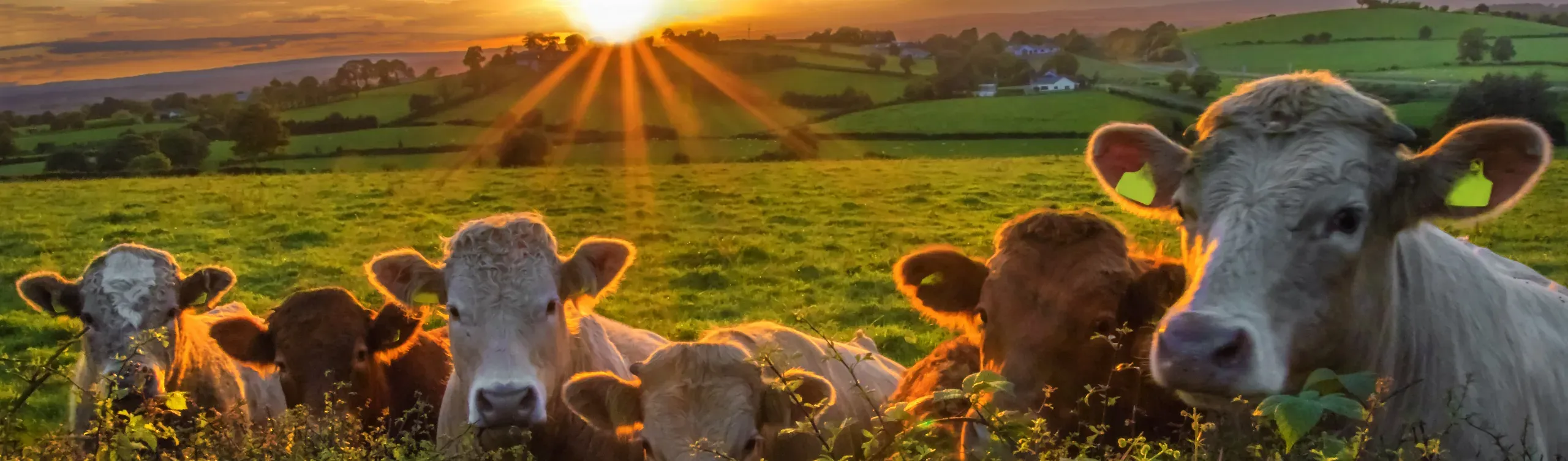 The Rural Update: Policymakers must look long-term