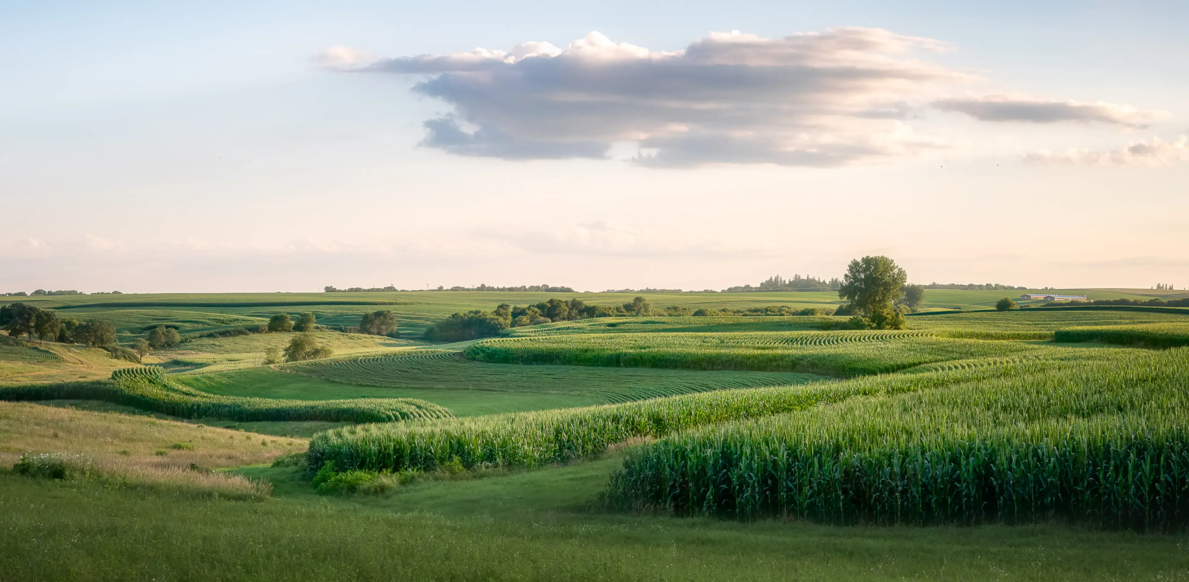 Scenic view of agricultural field against sky,Minnesota,United States,USA
