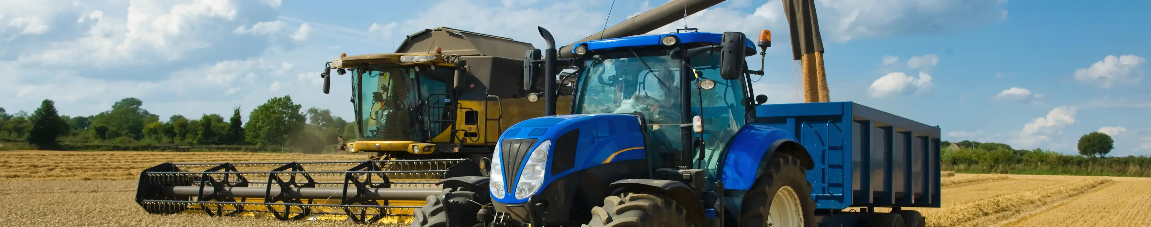 Combine harvester delivering harvested grain onto a grain trailer on a farm.