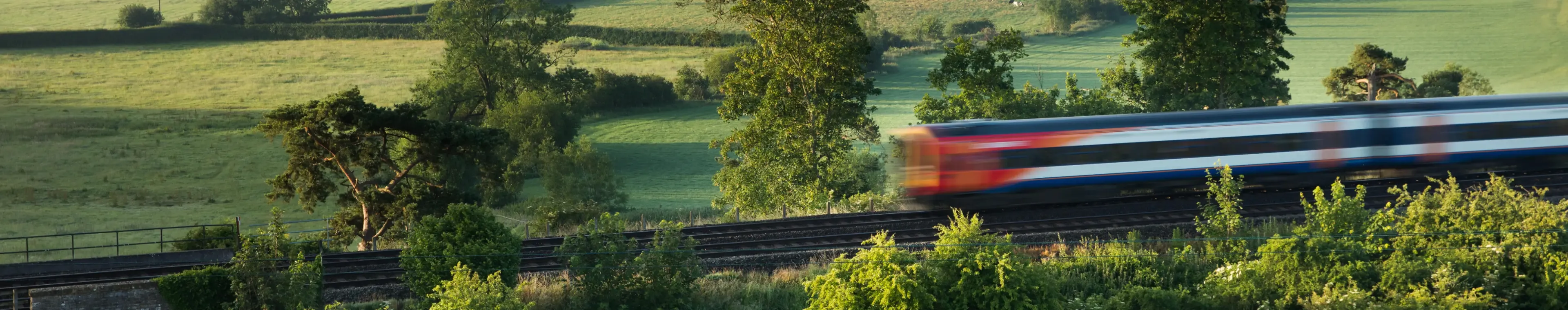 the London Waterloo to Exeter train passing Milborne Wick on a misty summer's morning, Somerset, England, UK