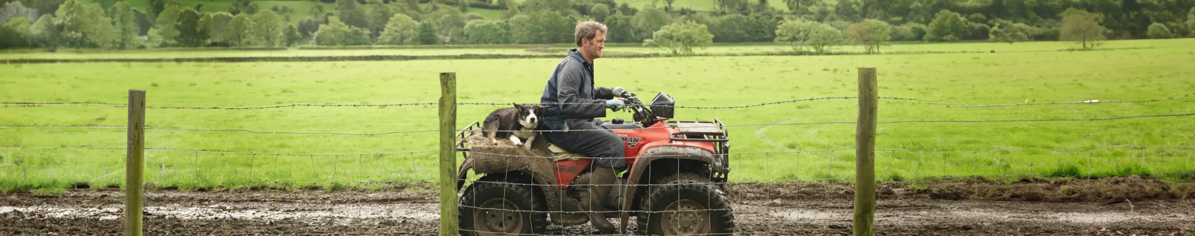 Farmer And Dog On Tractor