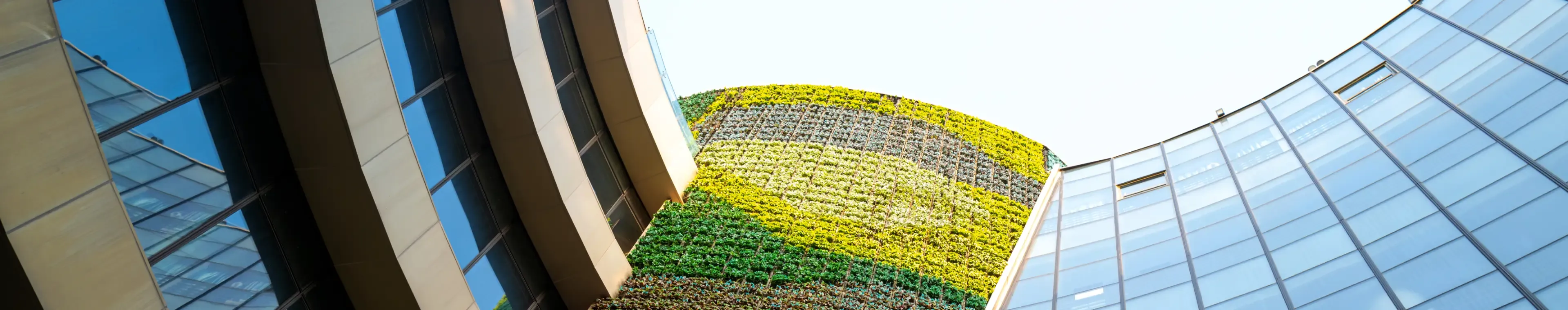 Part of the exterior wall of the municipal building in Quanzhou, China, planted with plants, environmentally friendly buildings.