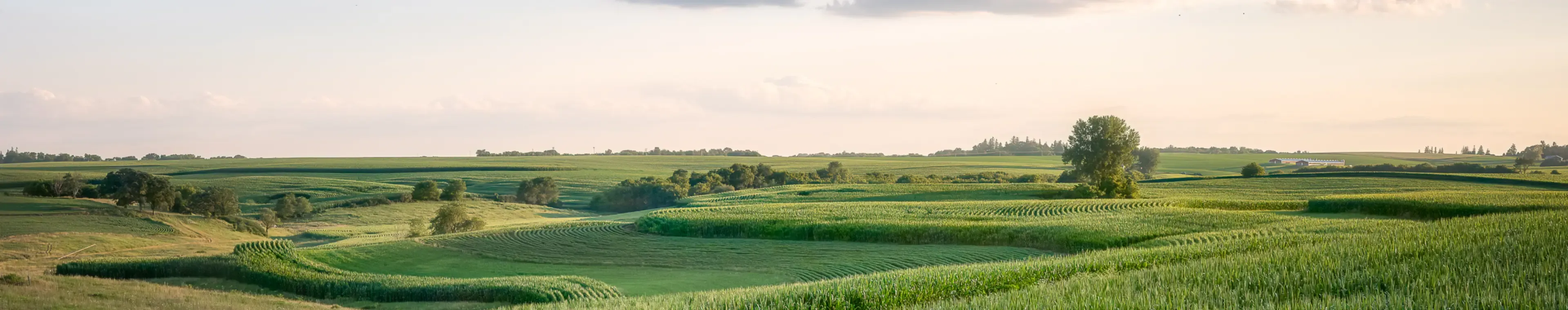 Scenic view of agricultural field against sky,Minnesota,United States,USA