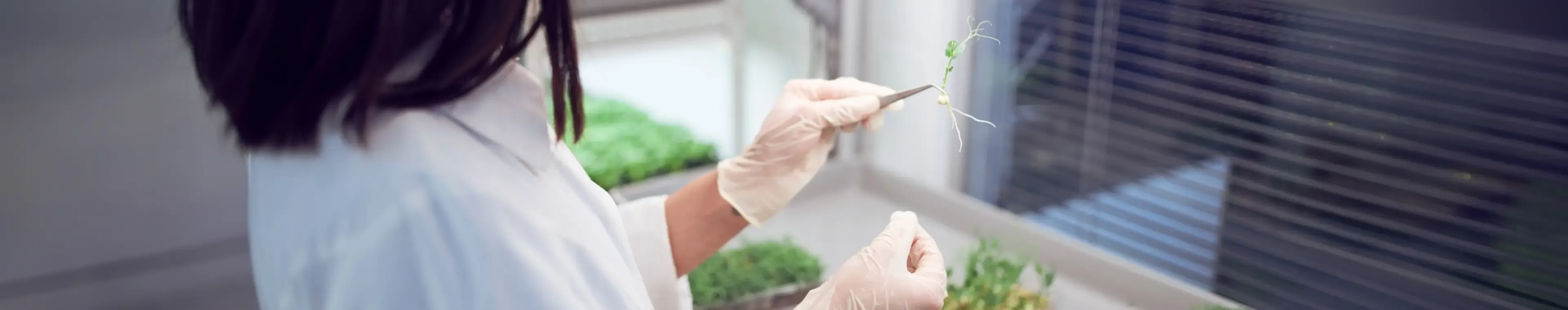 Woman checking plant in lab