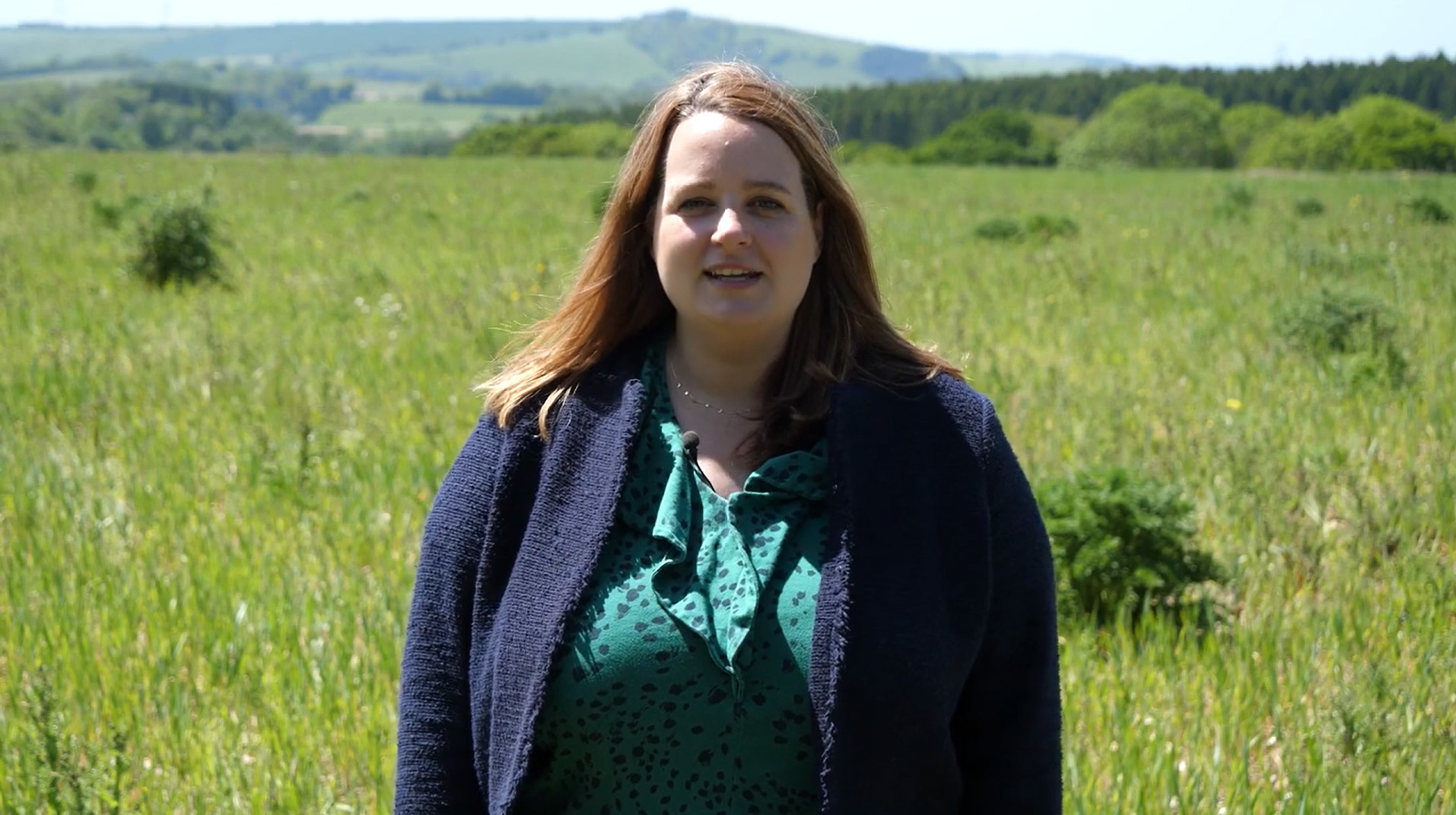 Biodiversity net gain. 