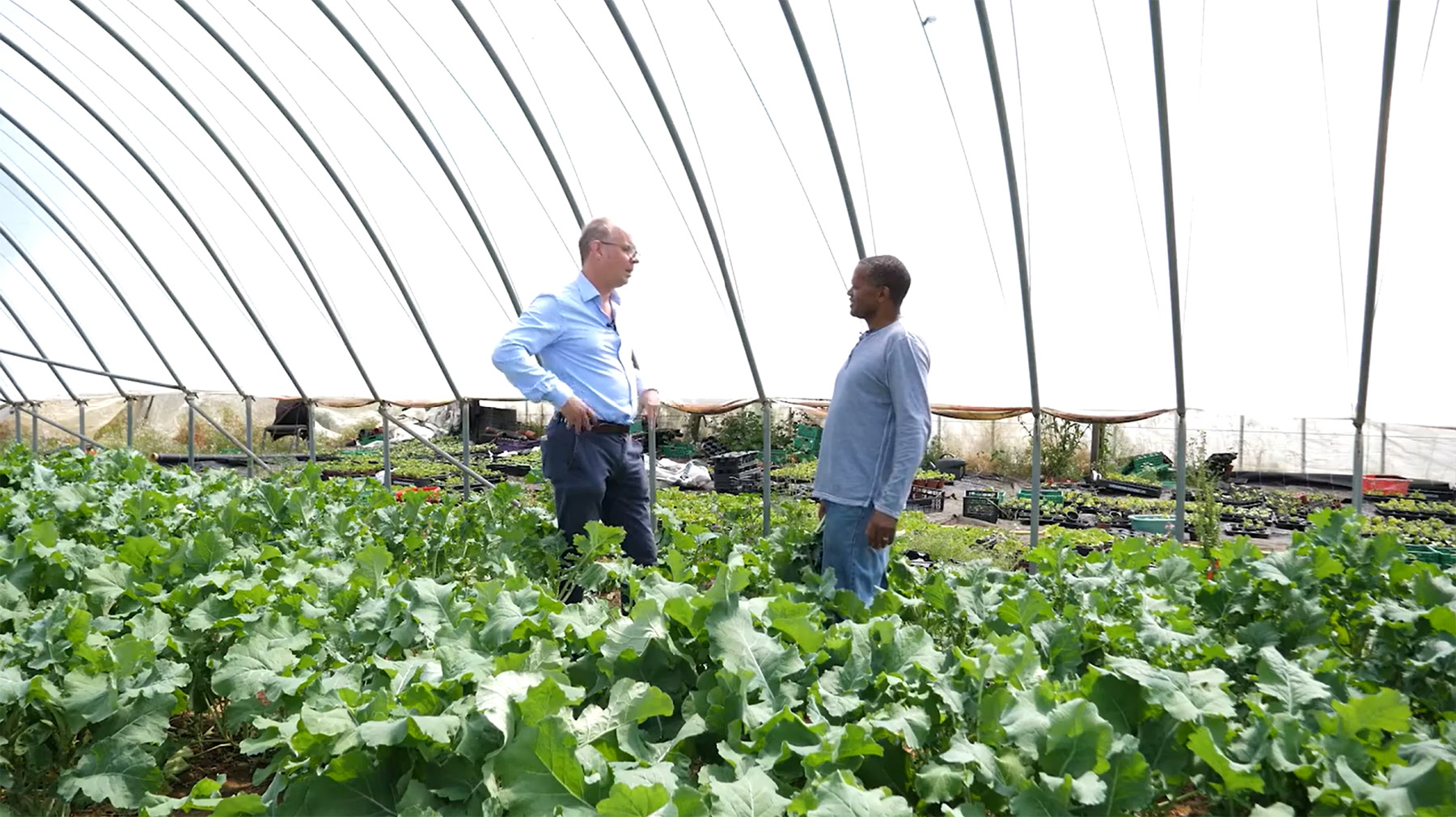 Two people stand inside a large scale greenhouse. 