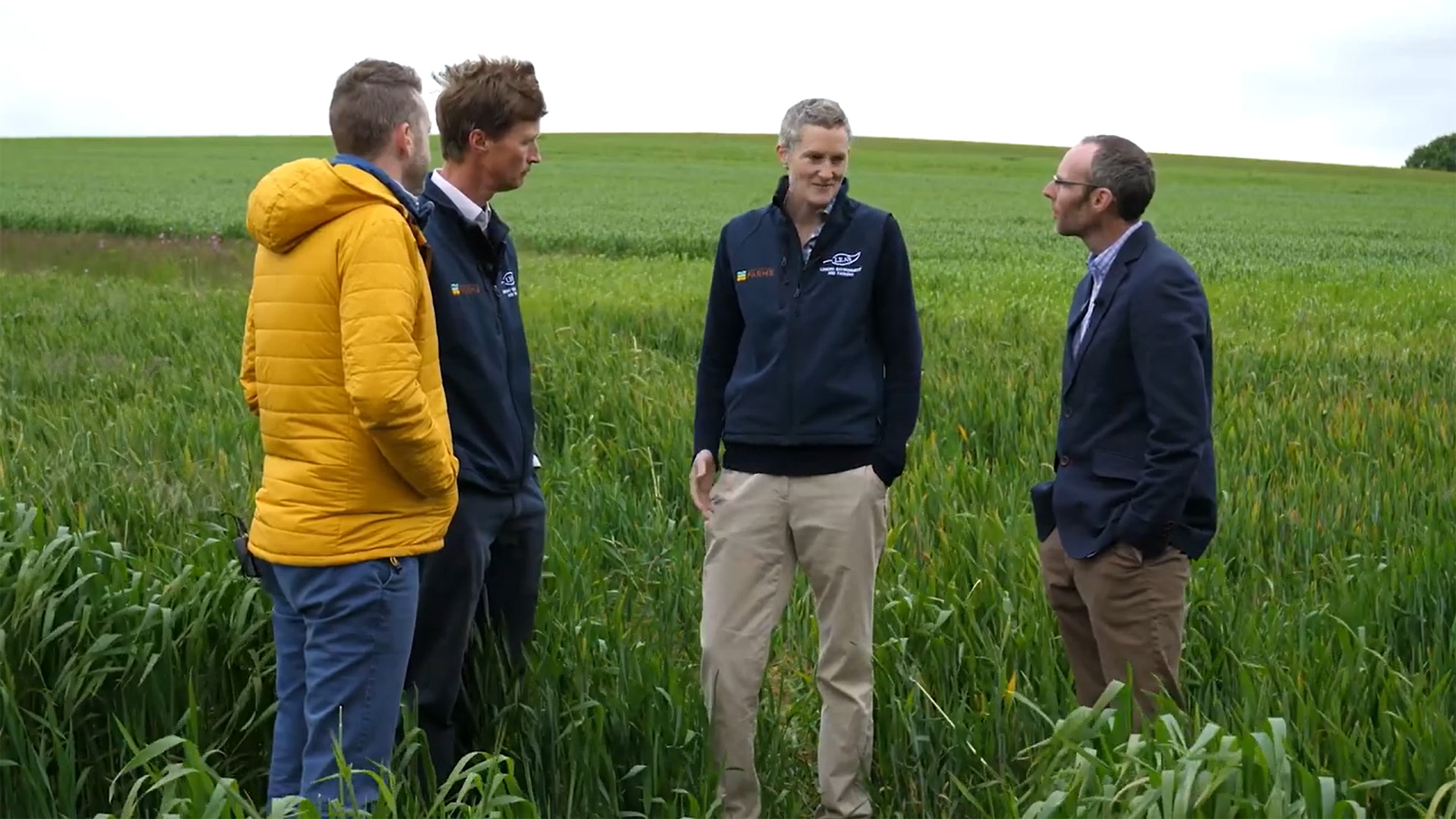 Four agricultural experts discussing business in a field. 