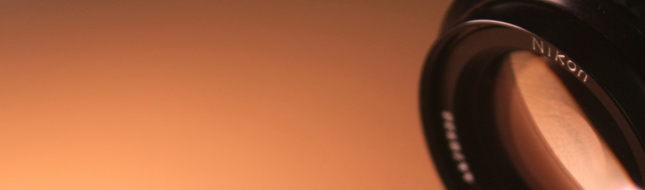 Under the lens: Policies and headlines driving change in UK logistics