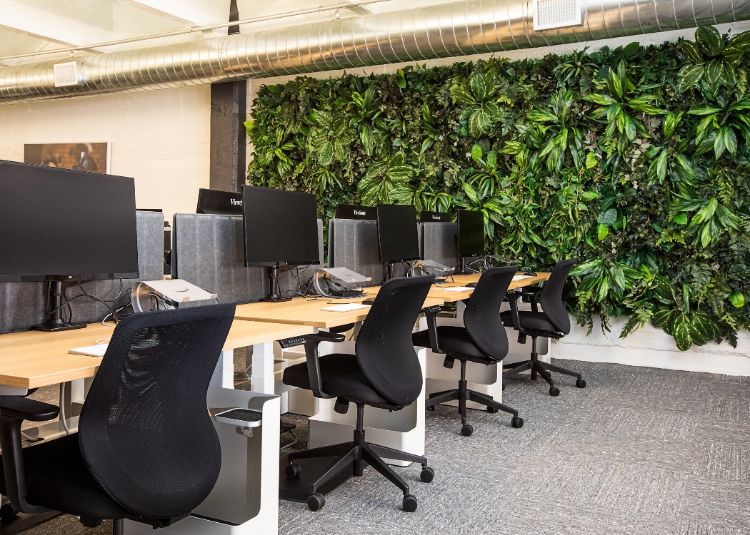 Office design living wall