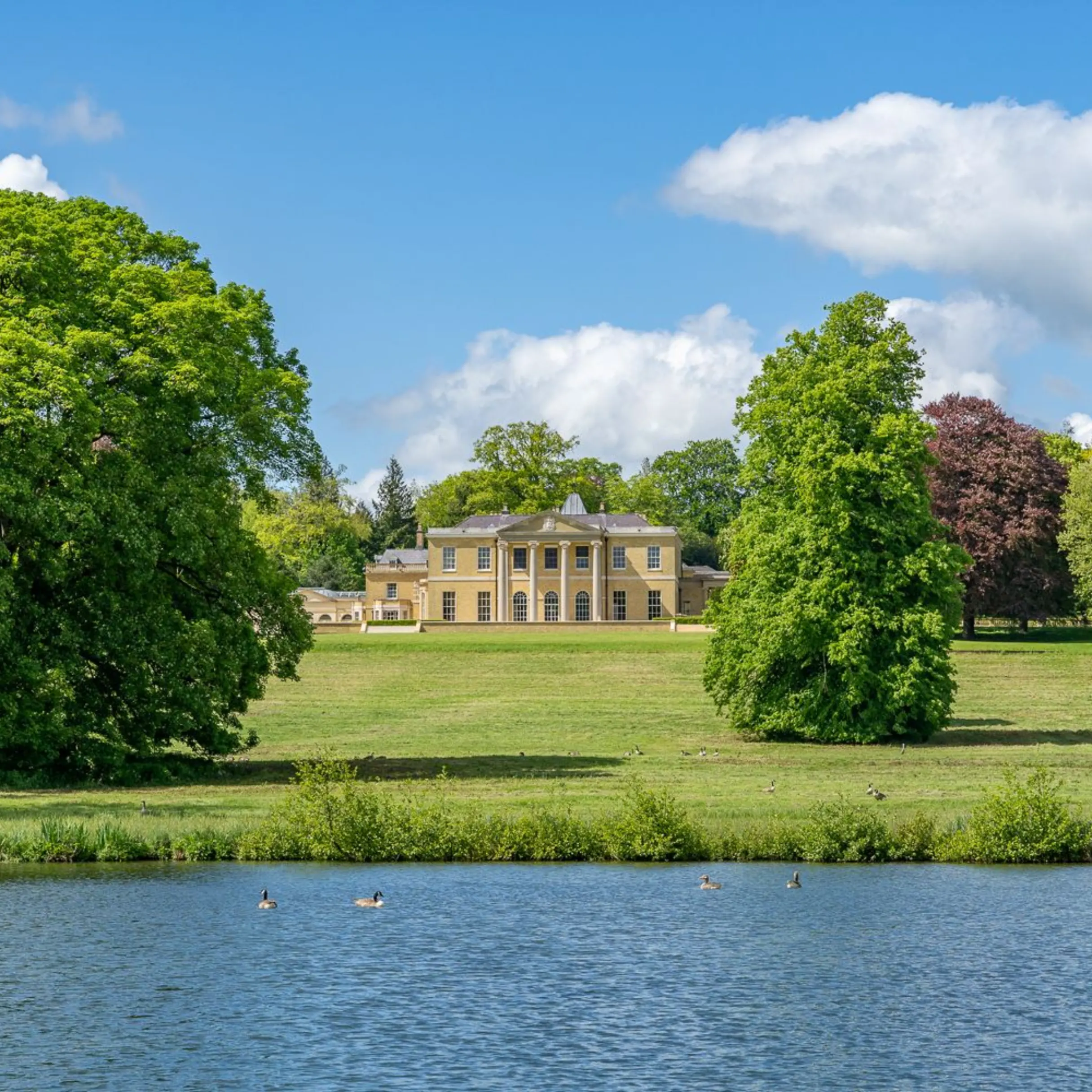 Laverstoke Park: A historic Hampshire estate
