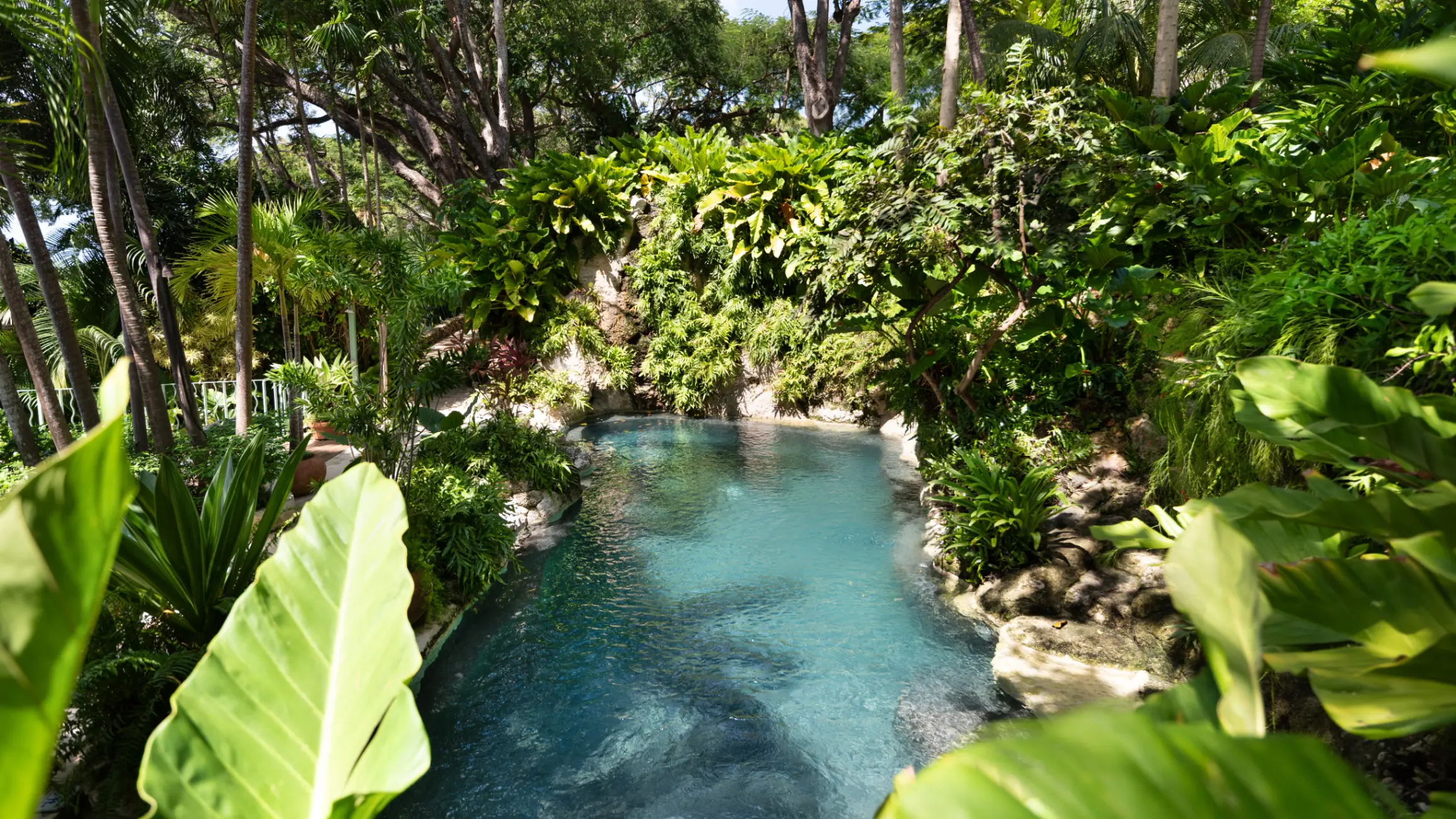 Pool at Fustic Estate, Caribbean