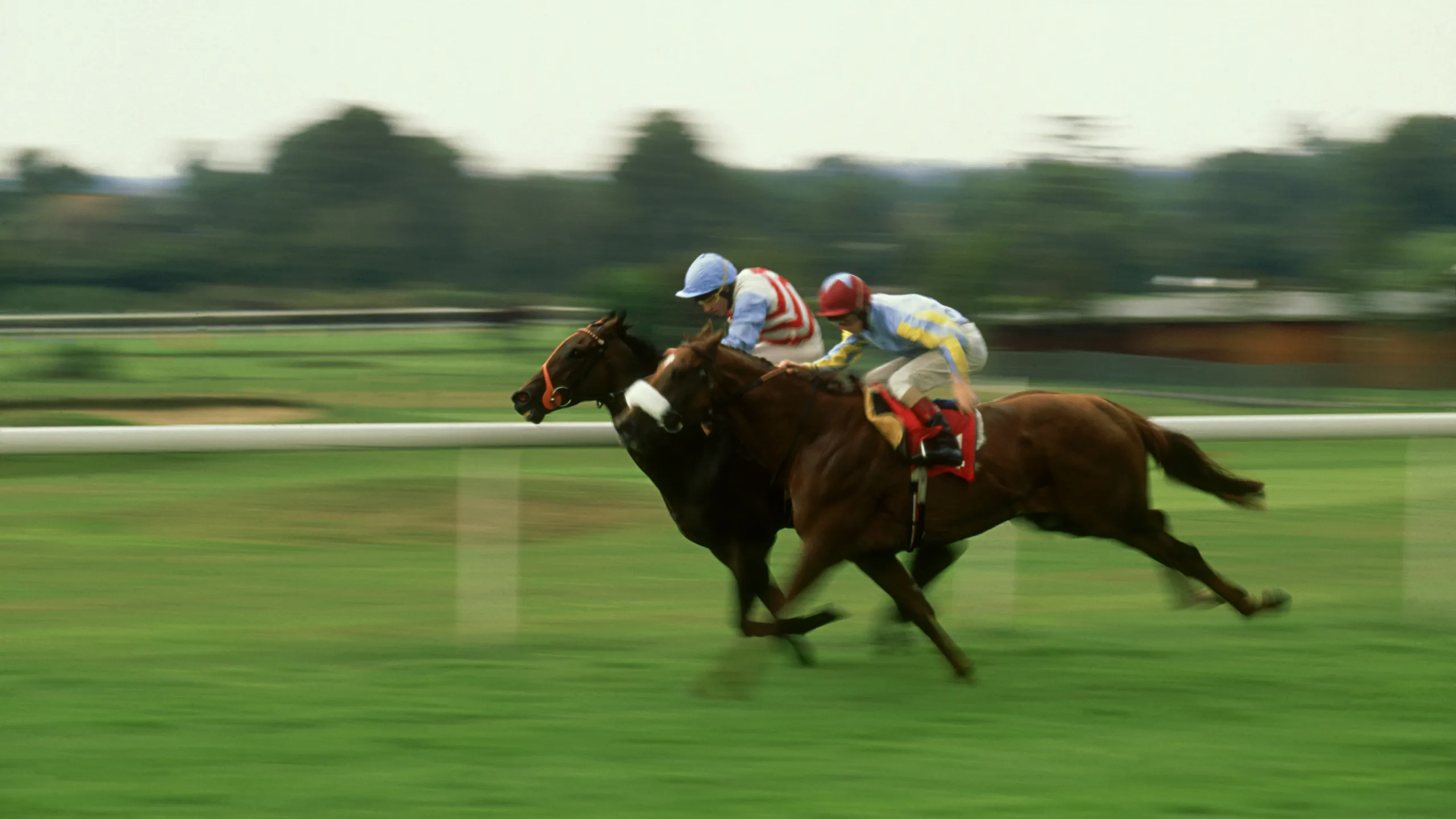 Horseracing at Ascot &copy; Mike Hill