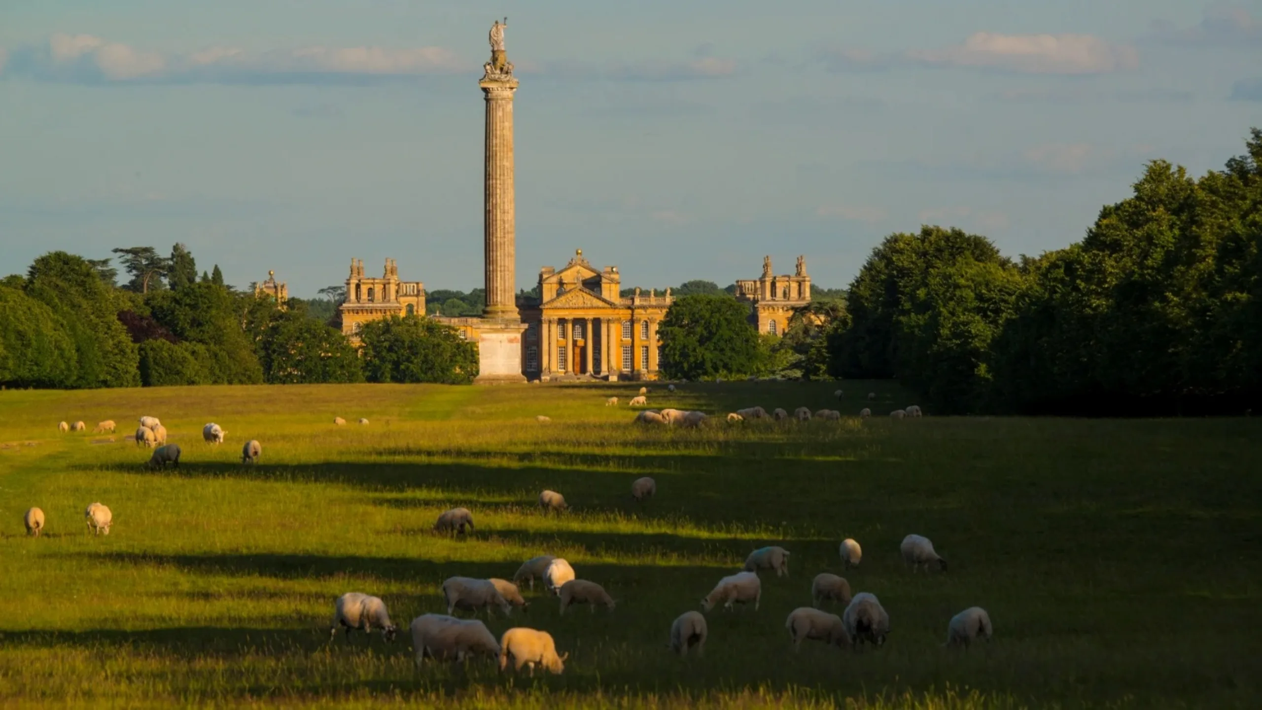 The Column of Victory at Blenheim. Image &copy; Peter Seaward
