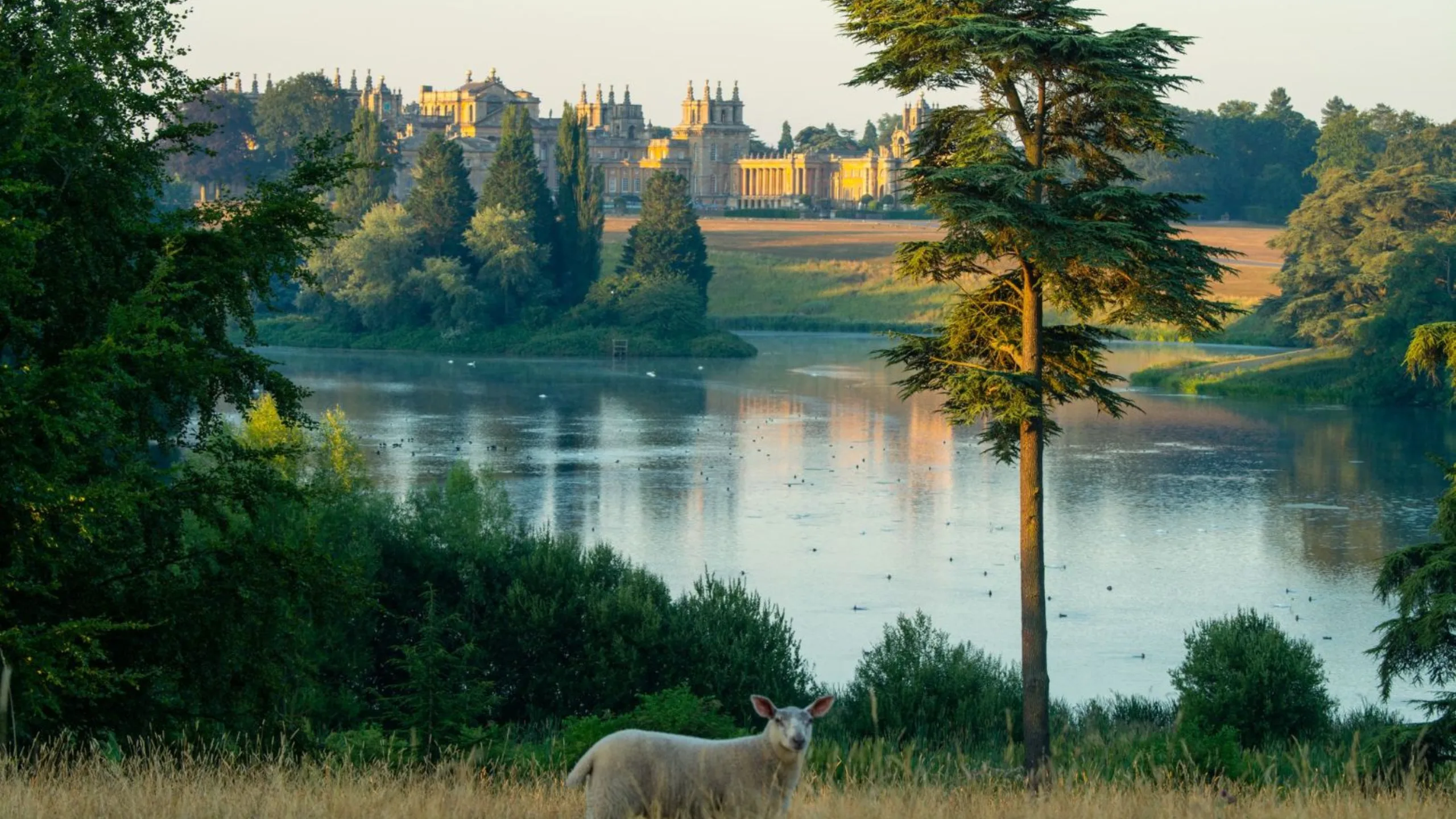 The parks and gardens of Blenheim Palace. Image &copy; Peter Seaward