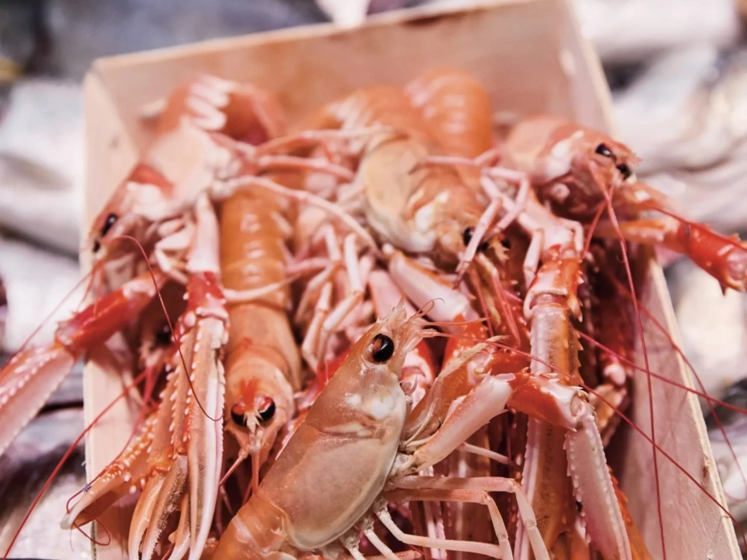 Dorian places a focus on high-quality ingredients, treated with care