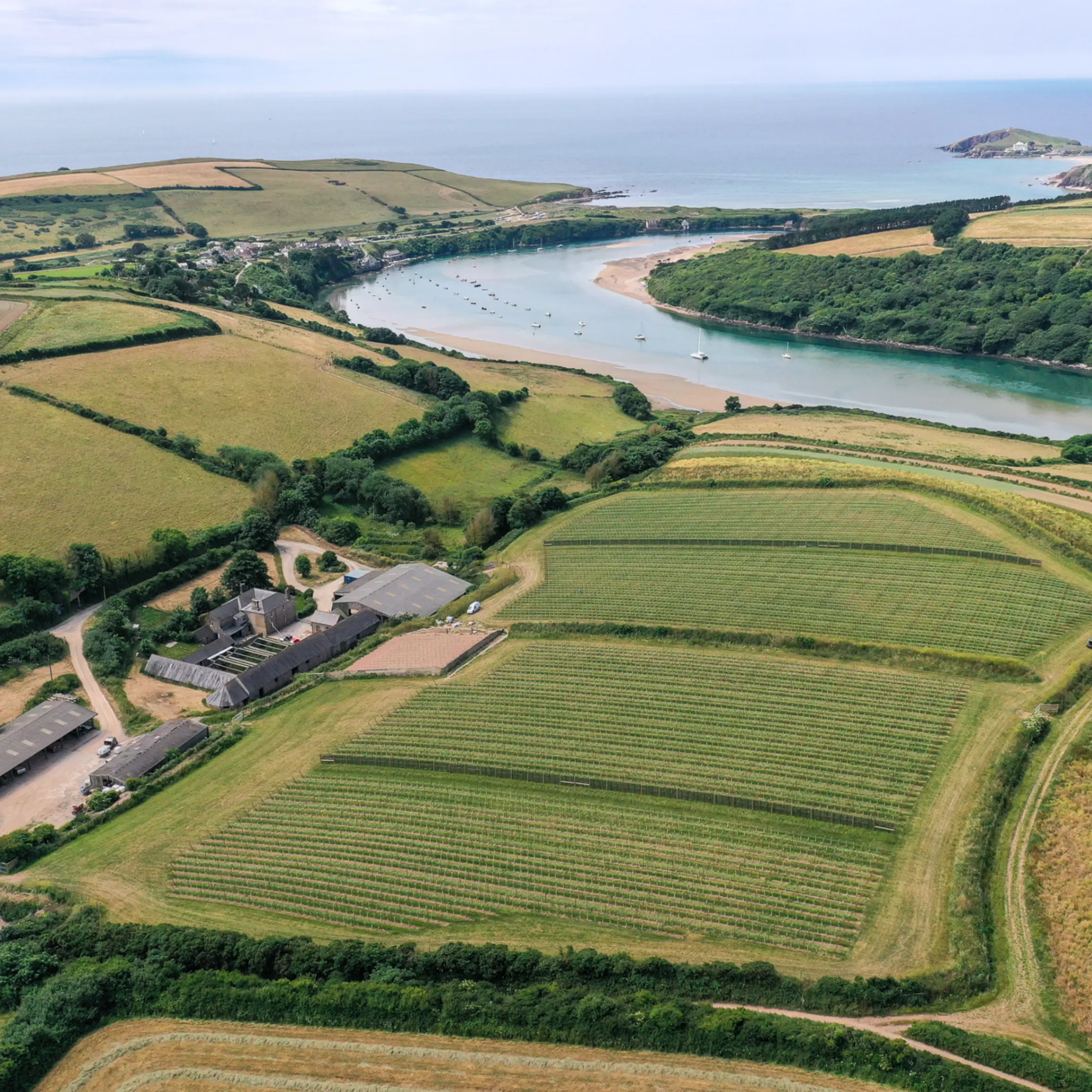 Image of The growth of English wine: could these vineyards be your next investment?