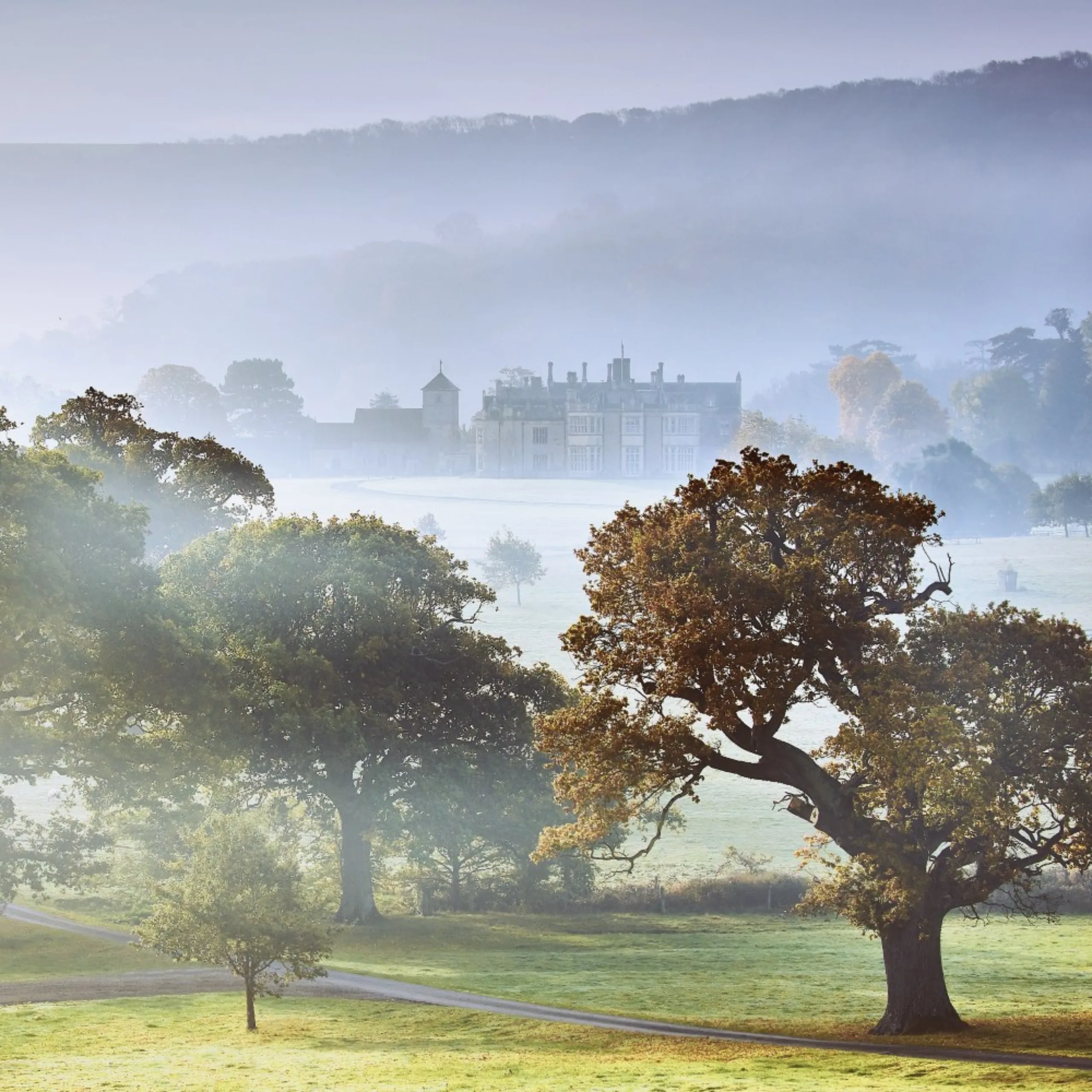 Image of Life in our land: Investing in nature at the Wiston Estate