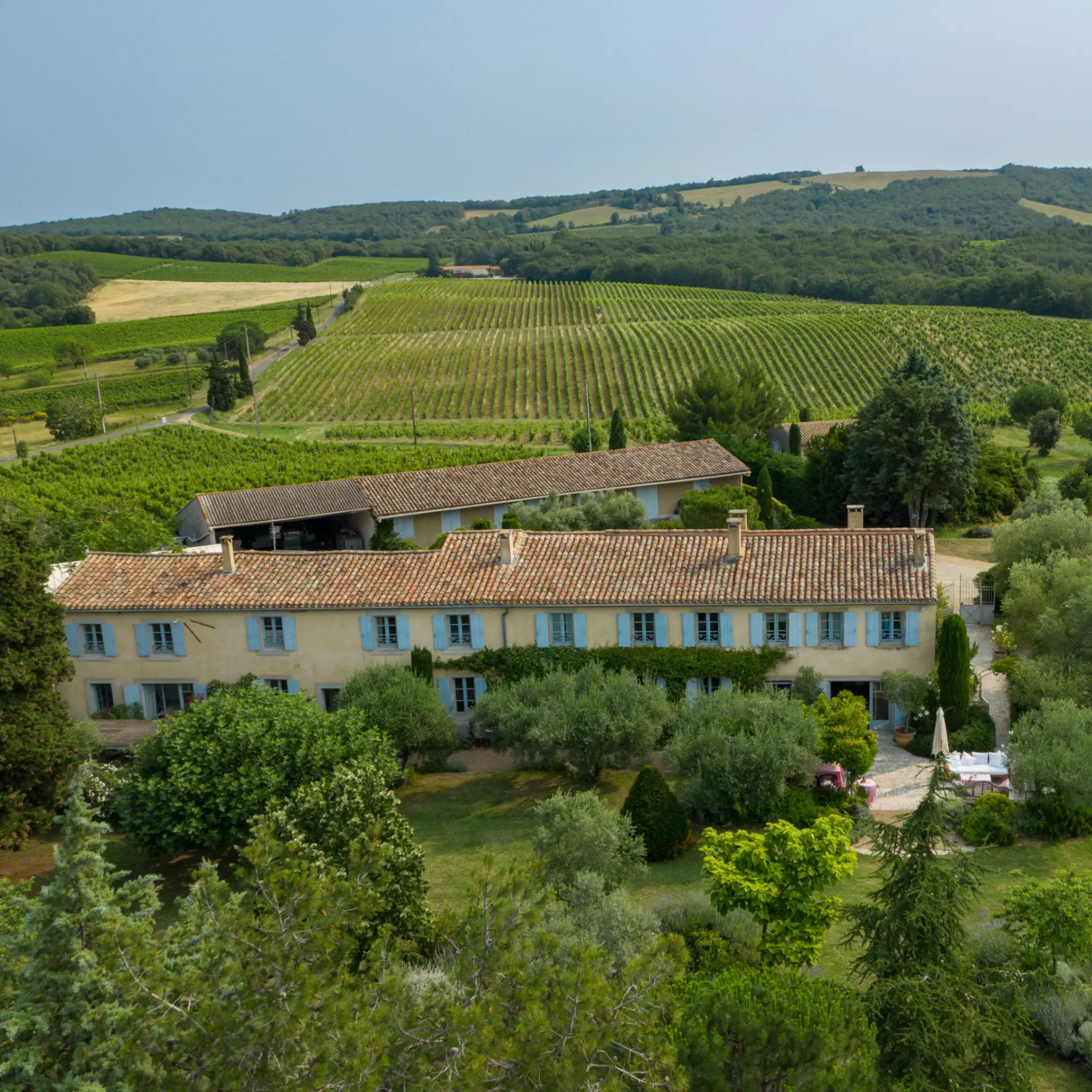 Image of Glass half full: opportunities in a changing winemaking landscape