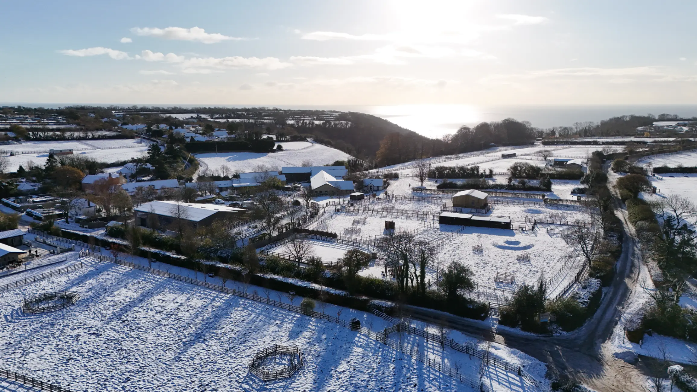 The Donkey Sanctuary needs to for animals in all weathers