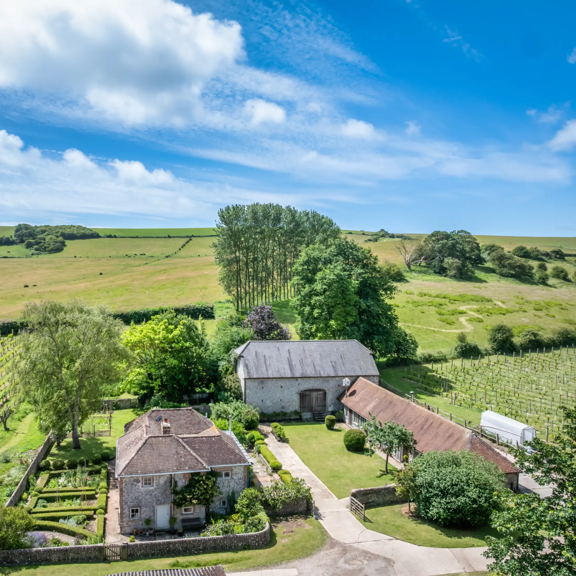 Image of Vineyard investment: opportunities in a maturing English wine market