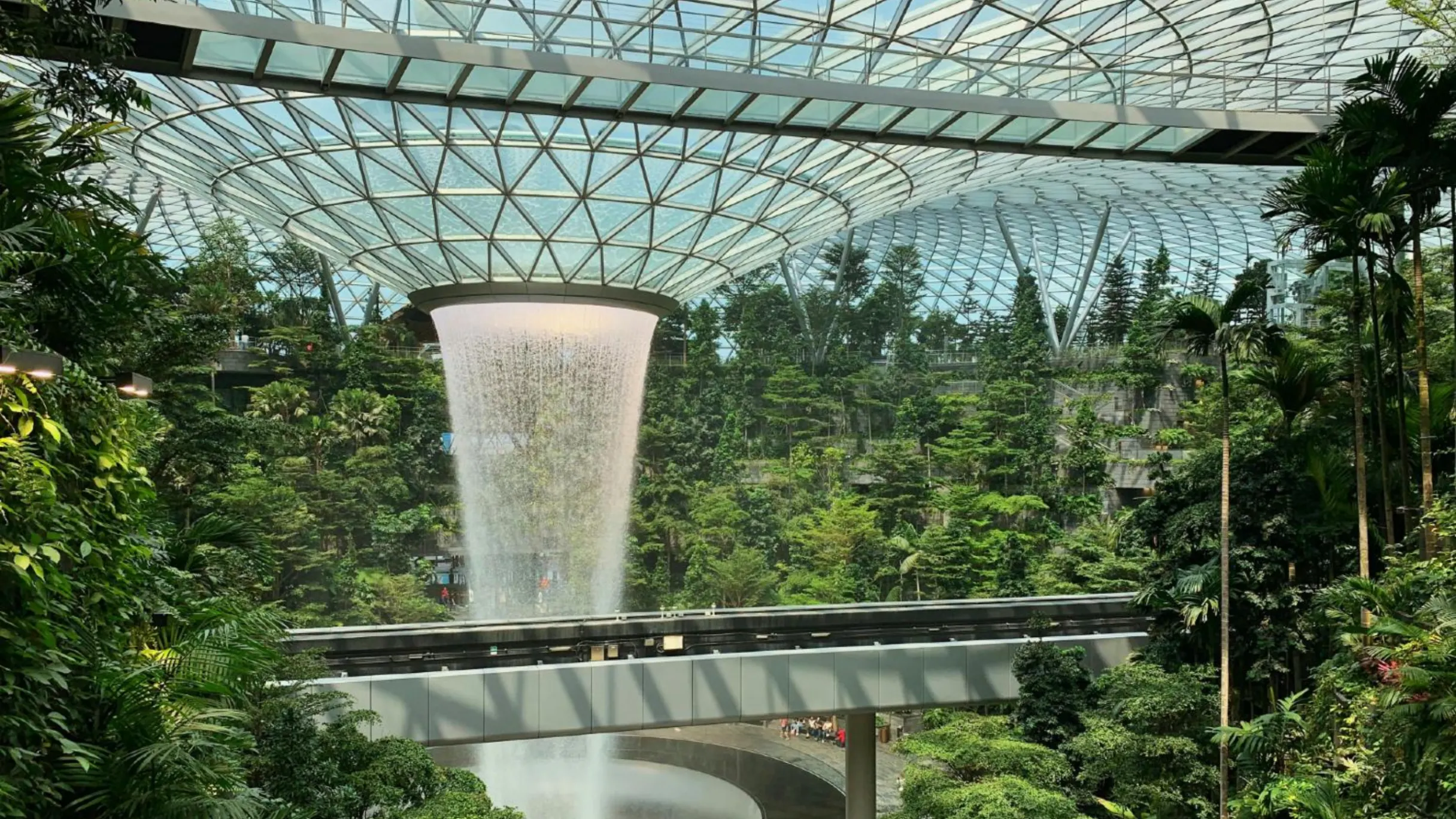 Singapore Gardens by the Bay's Flower Dome