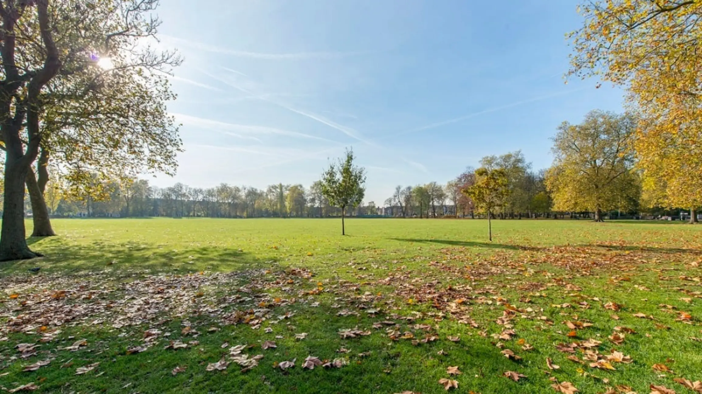 View of Queen's Park London