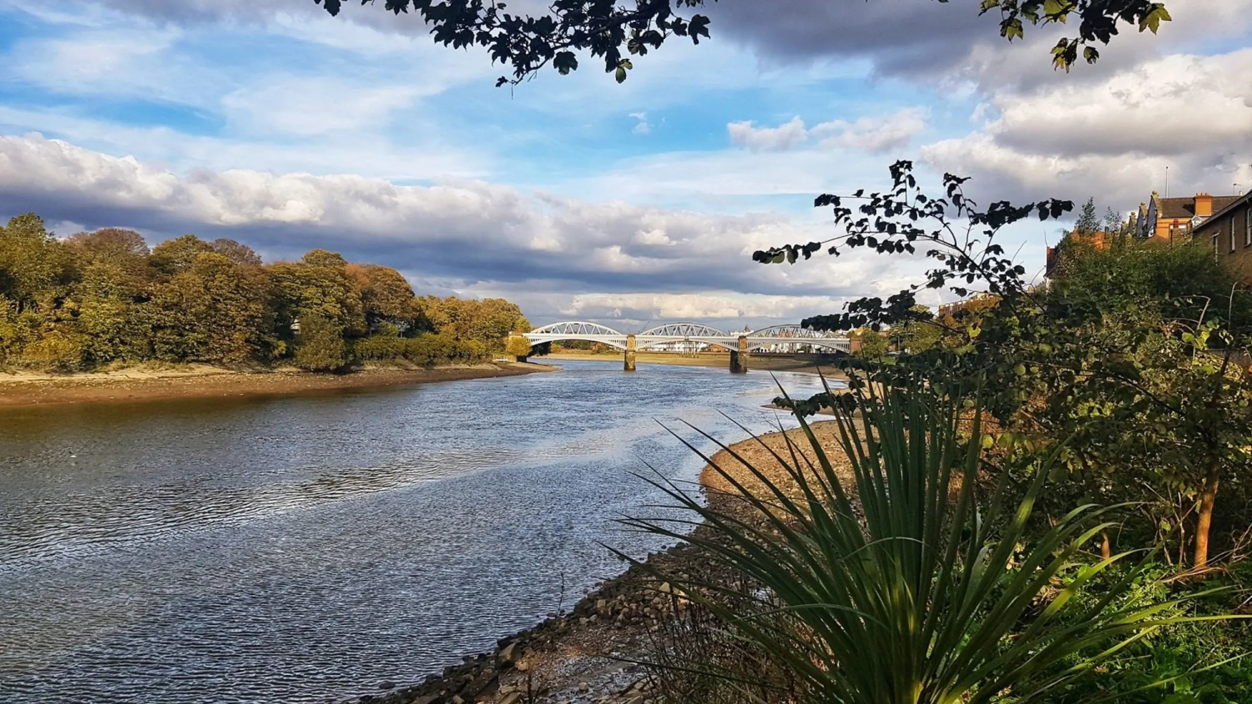 Barnes riverside