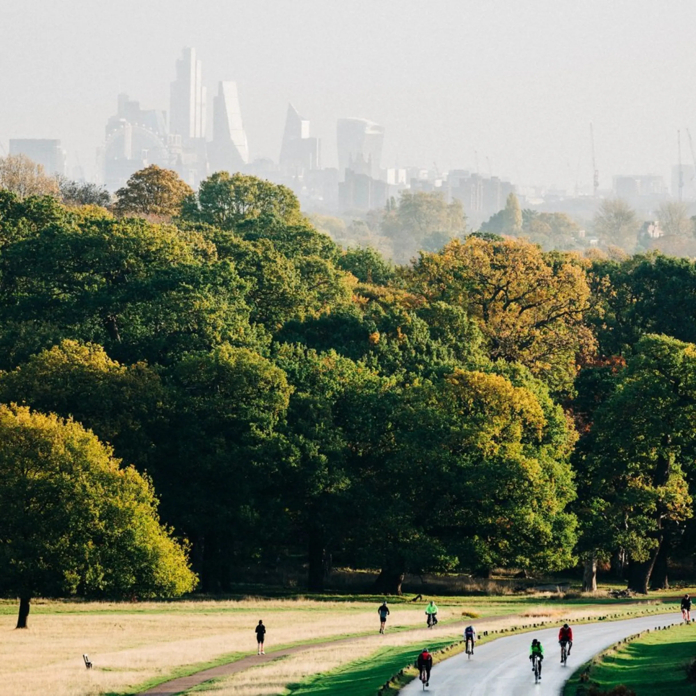 Setting down roots in south west London