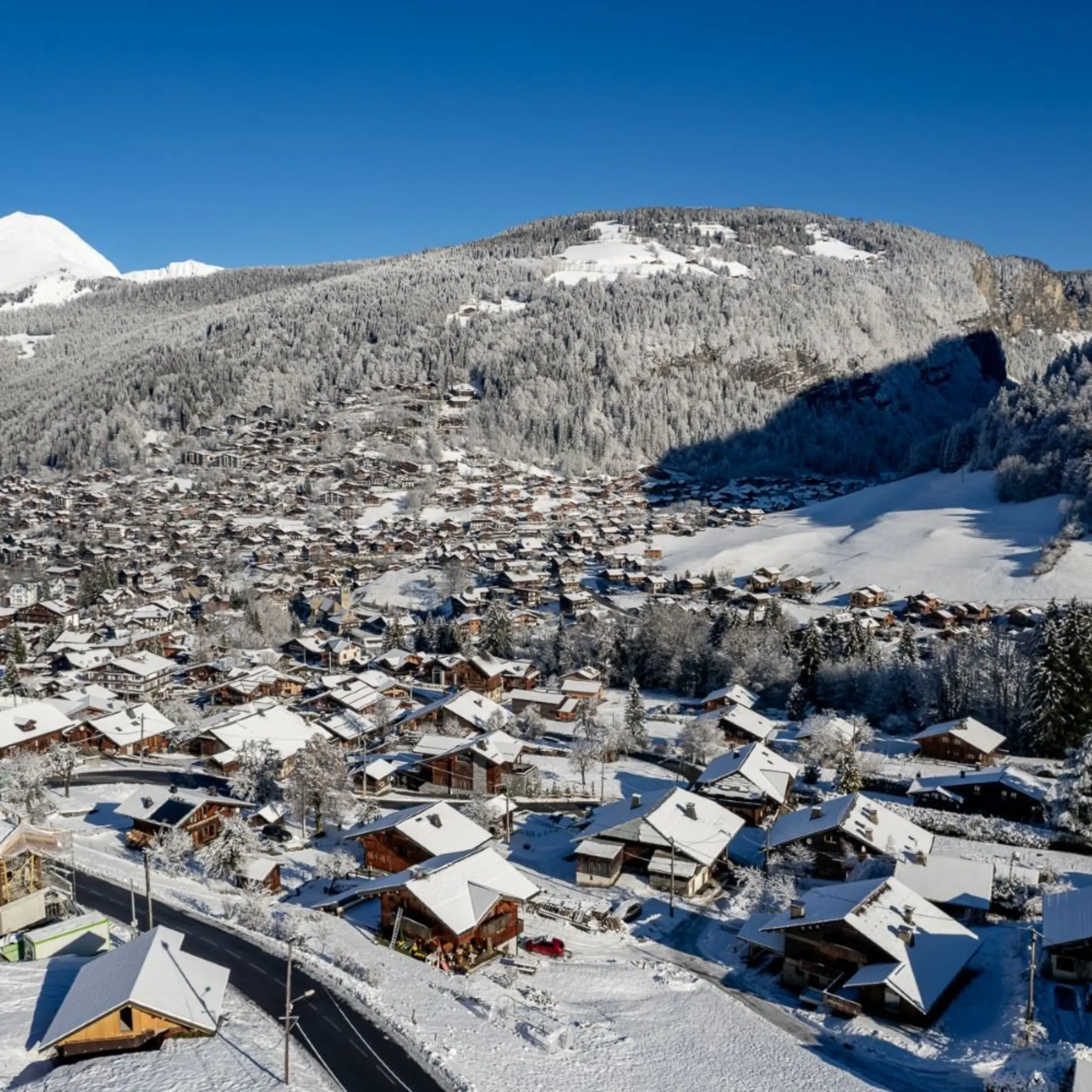 Alpine properties with rental potential