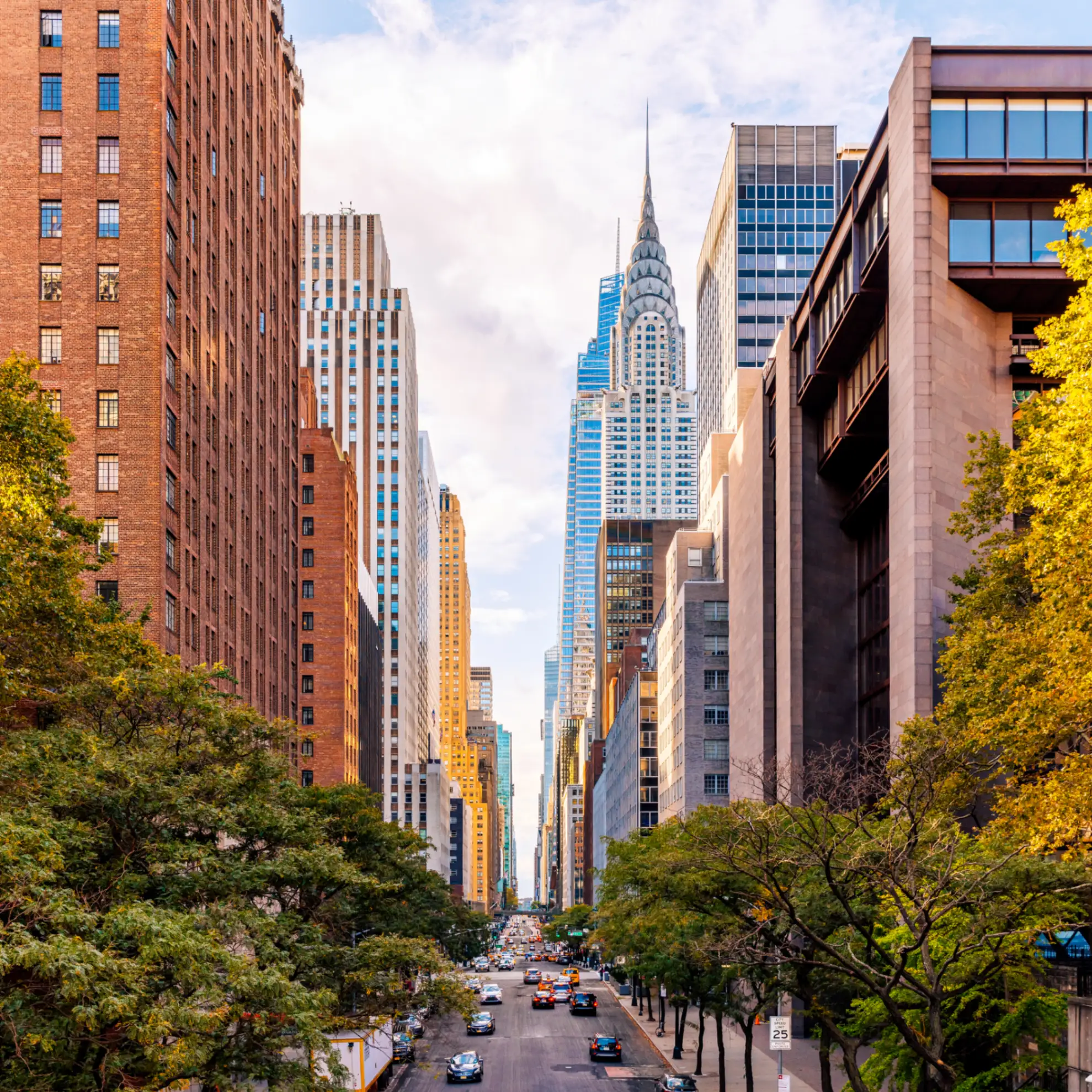 Image of America at 250: a global destination for prime property 