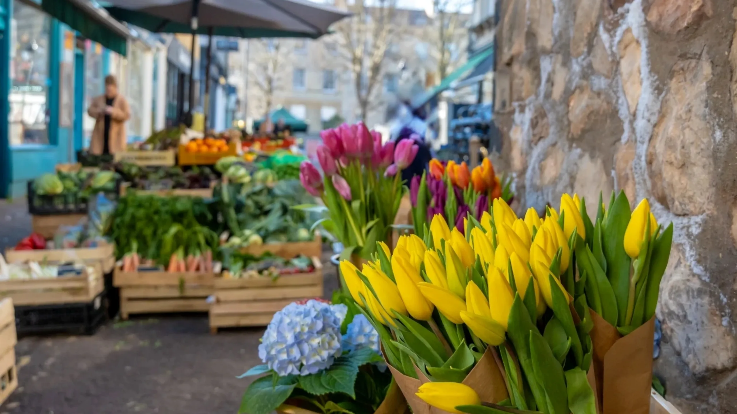 Flowers for sale at a market in Clifton, Bristol