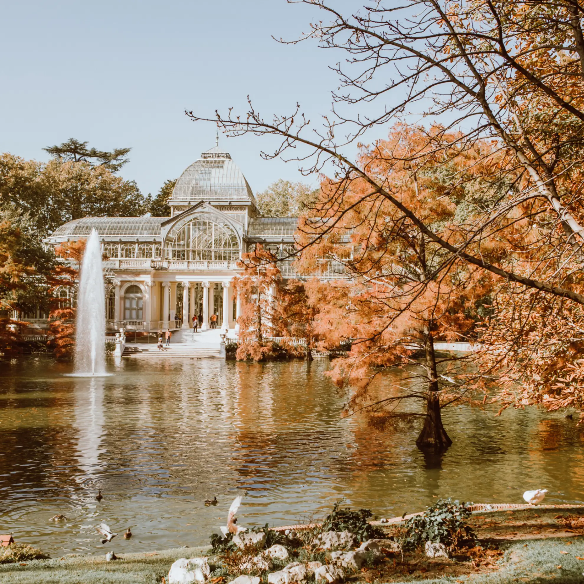 Image of The European city homes at their brilliant best in autumn