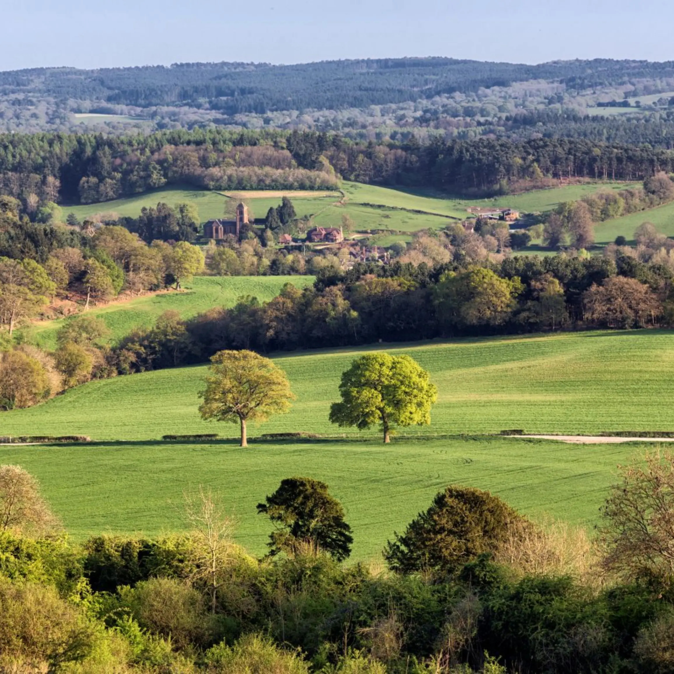 Image of Life in the Surrey Hills: Homes for sale in one of England’s most beautiful regions