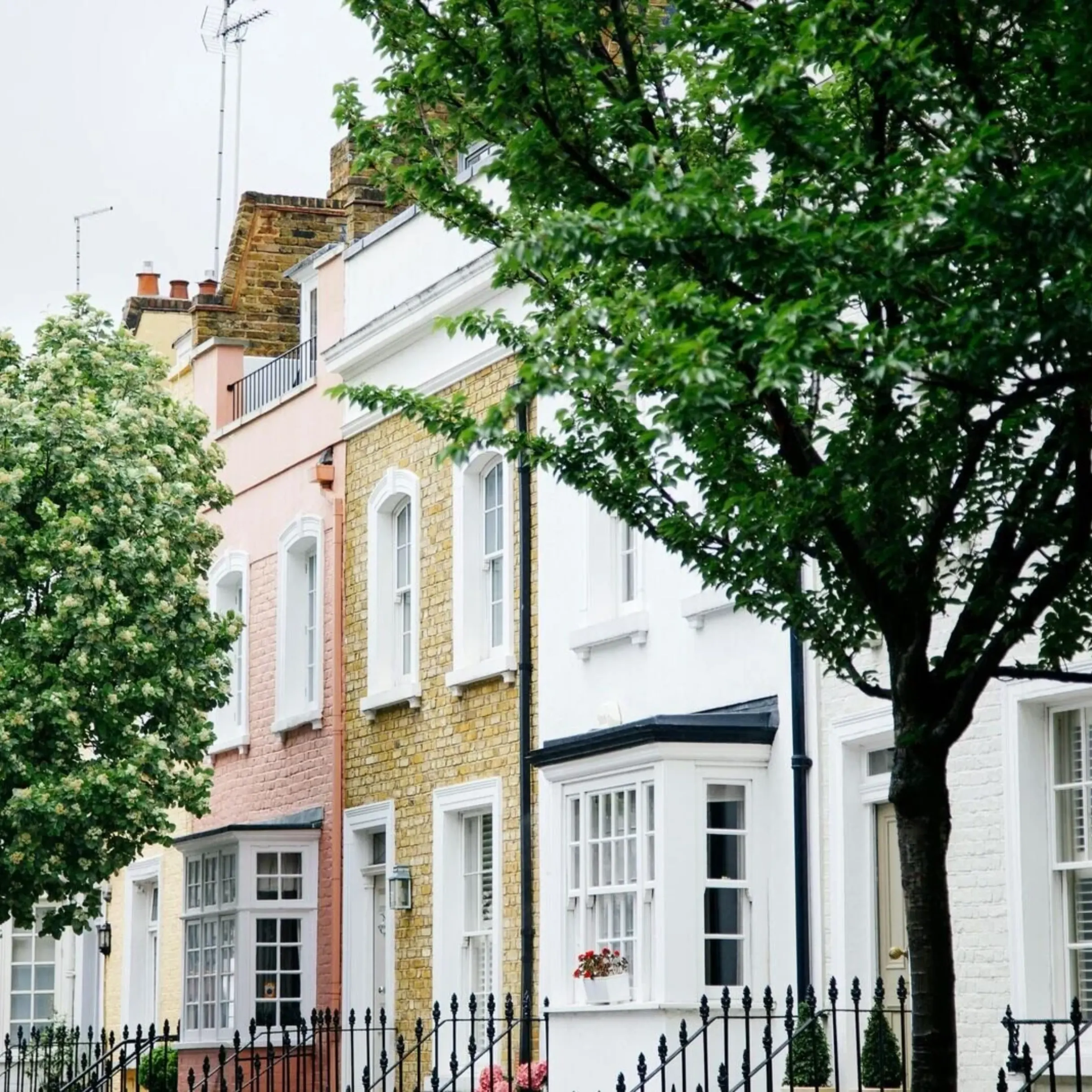 Our guide to Chelsea: the best restaurants, retail therapy and riverside views