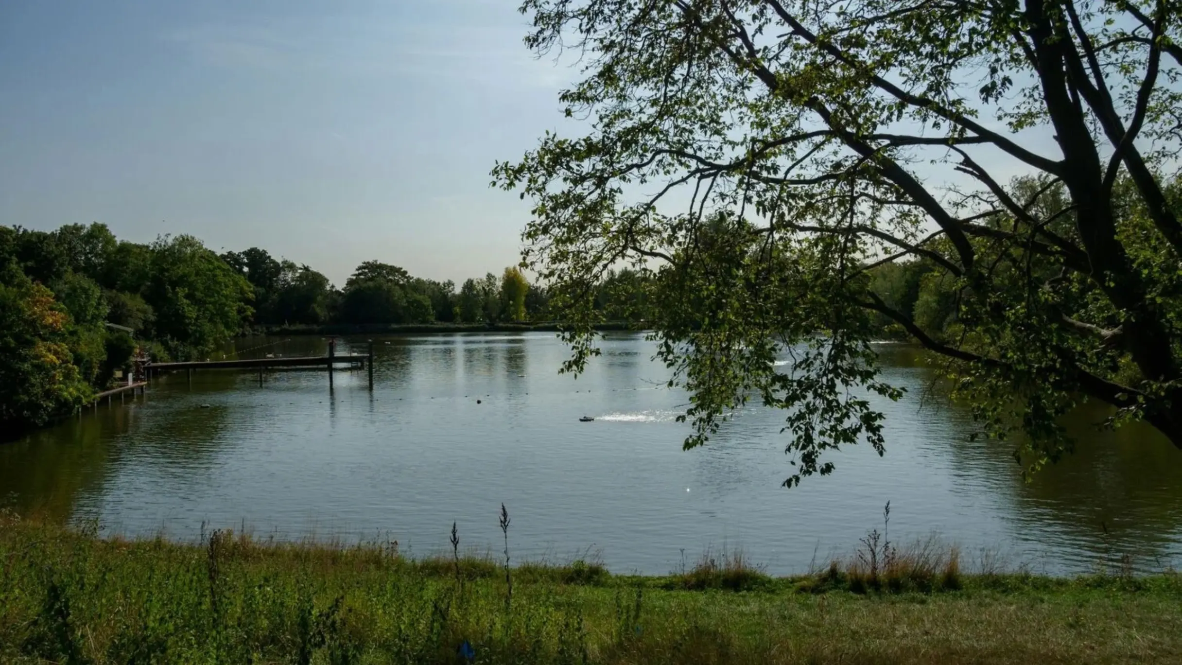 Hampstead Pond: Credit Brett Jordan 