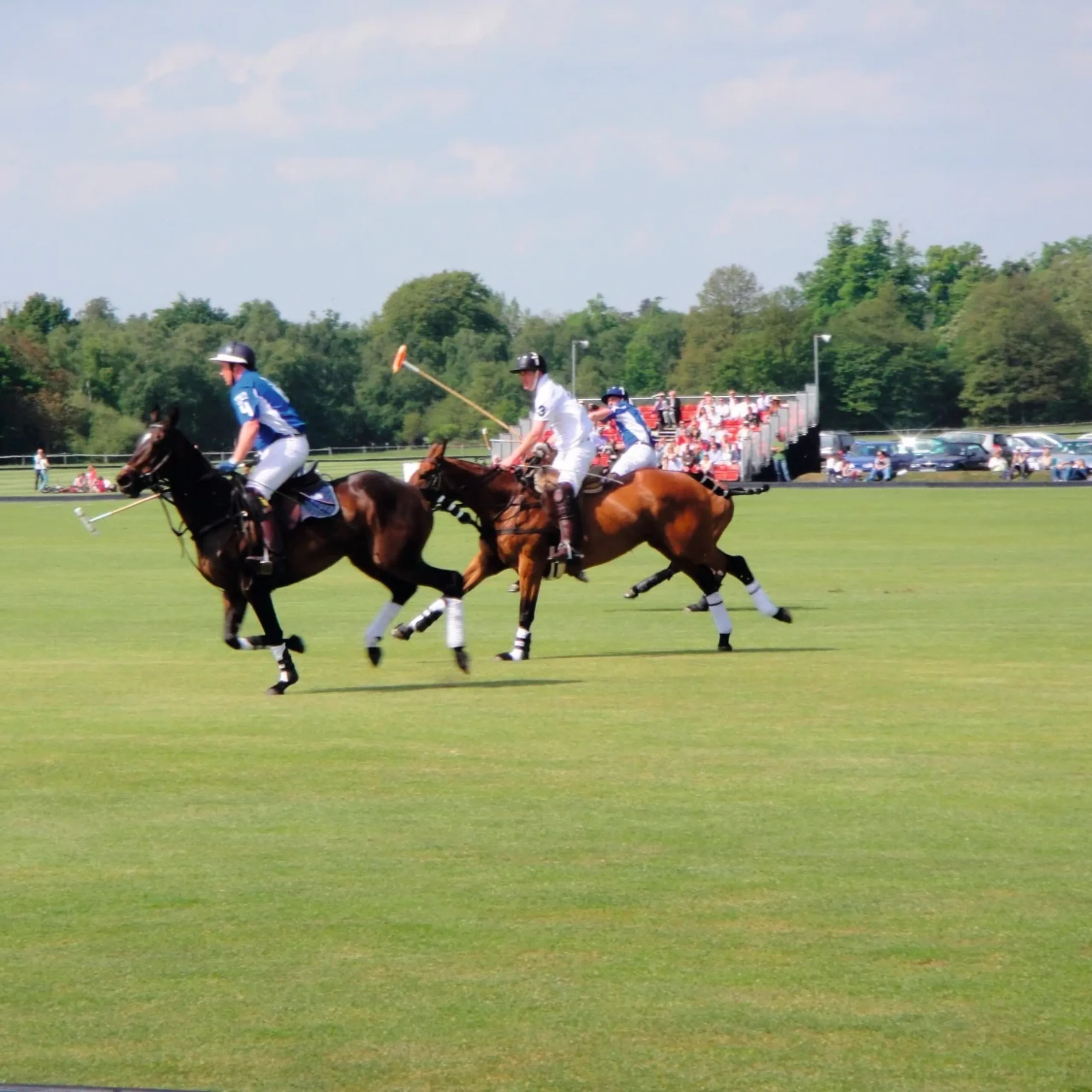 Where to live next: Ascot, Berkshire