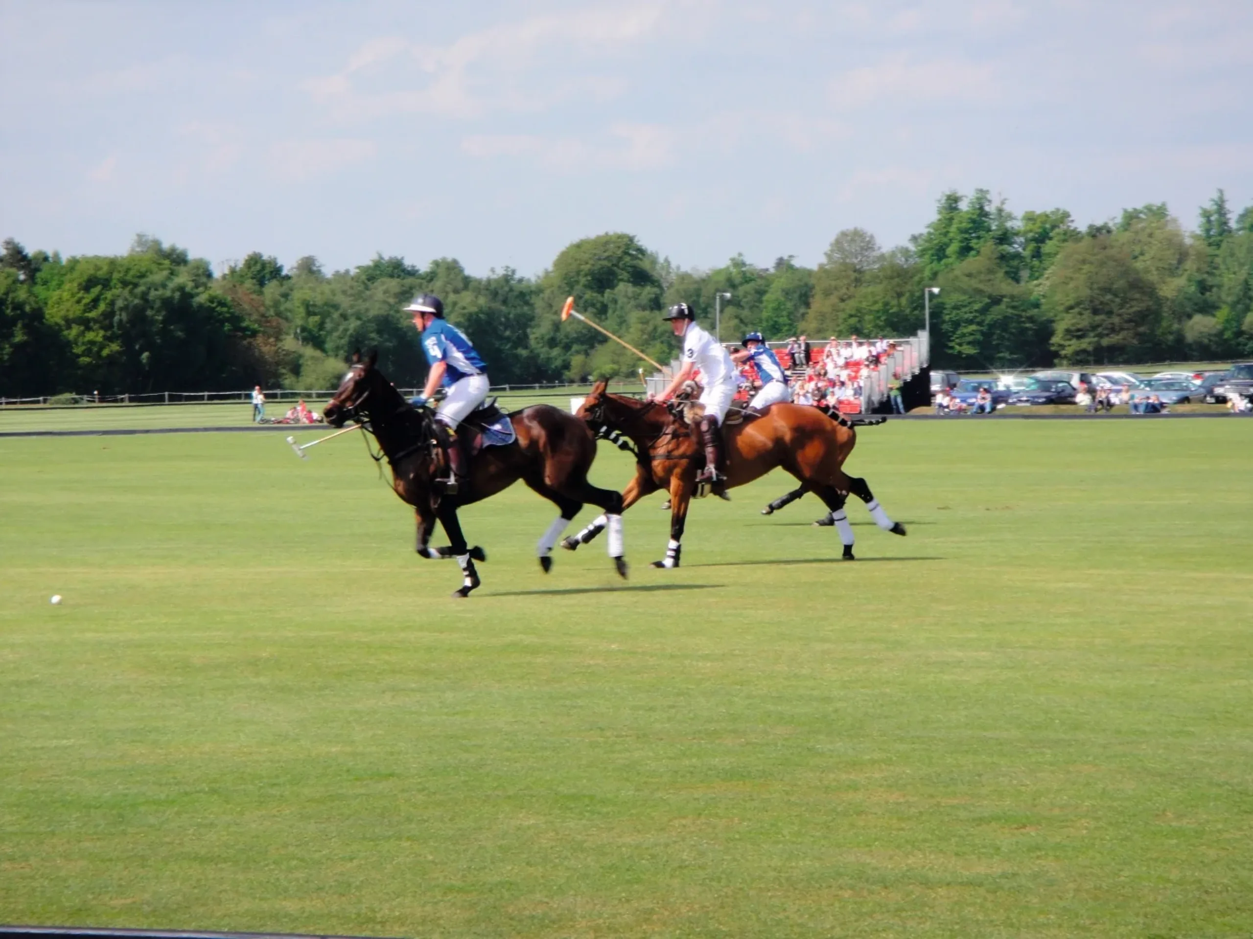 Image of Where to live next: Ascot, Berkshire