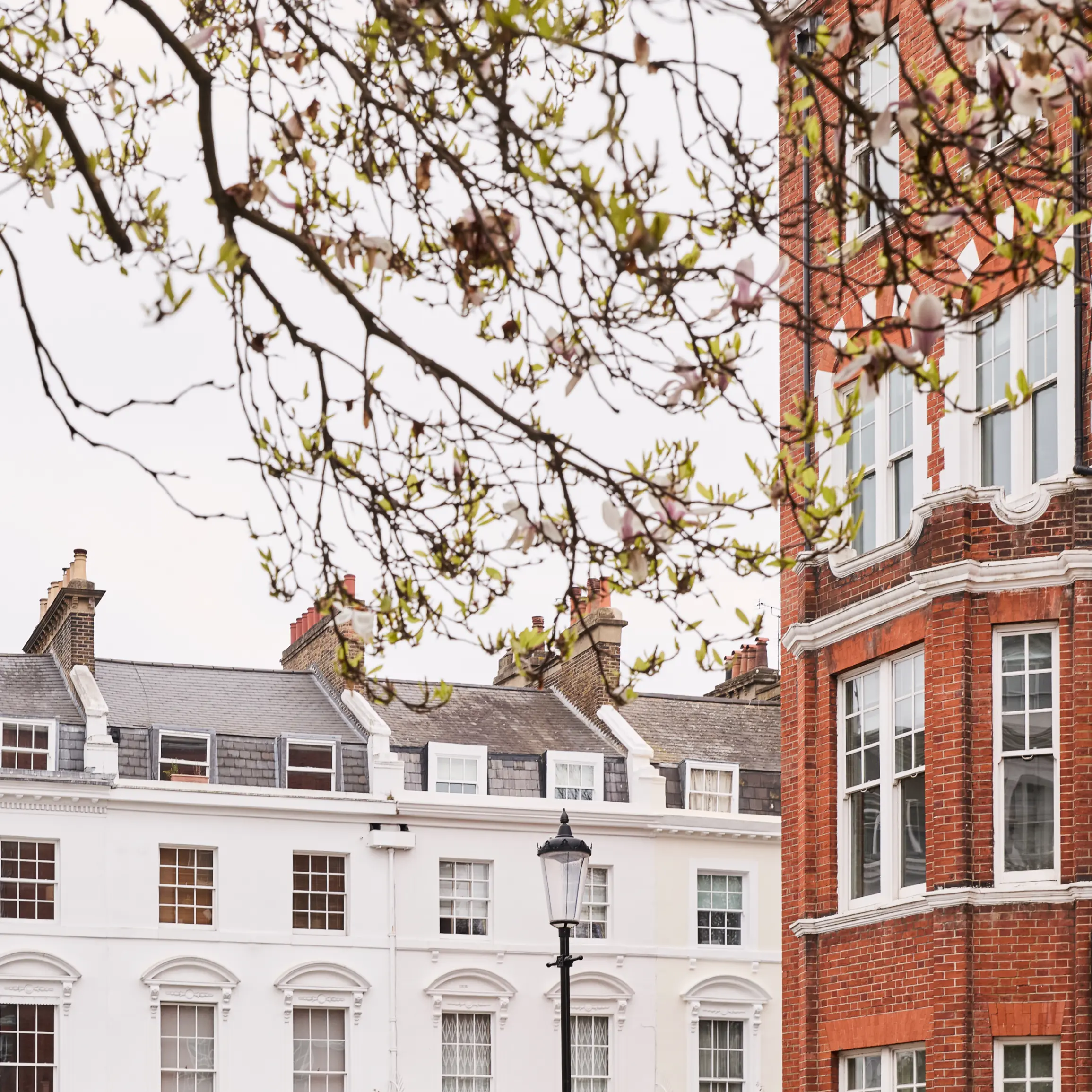 Image of Where to live next in London: Kensington