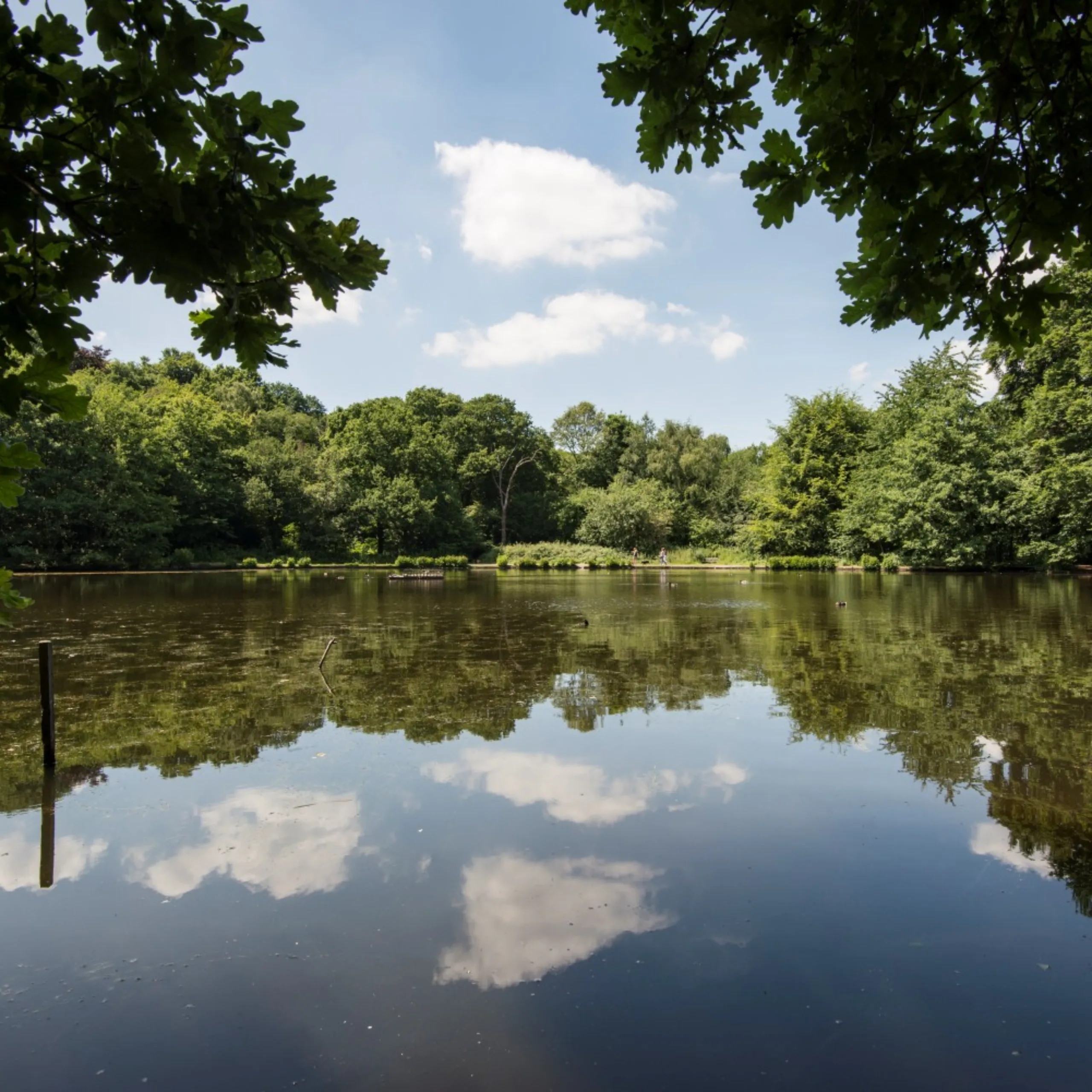 Where to live next: Wimbledon, London